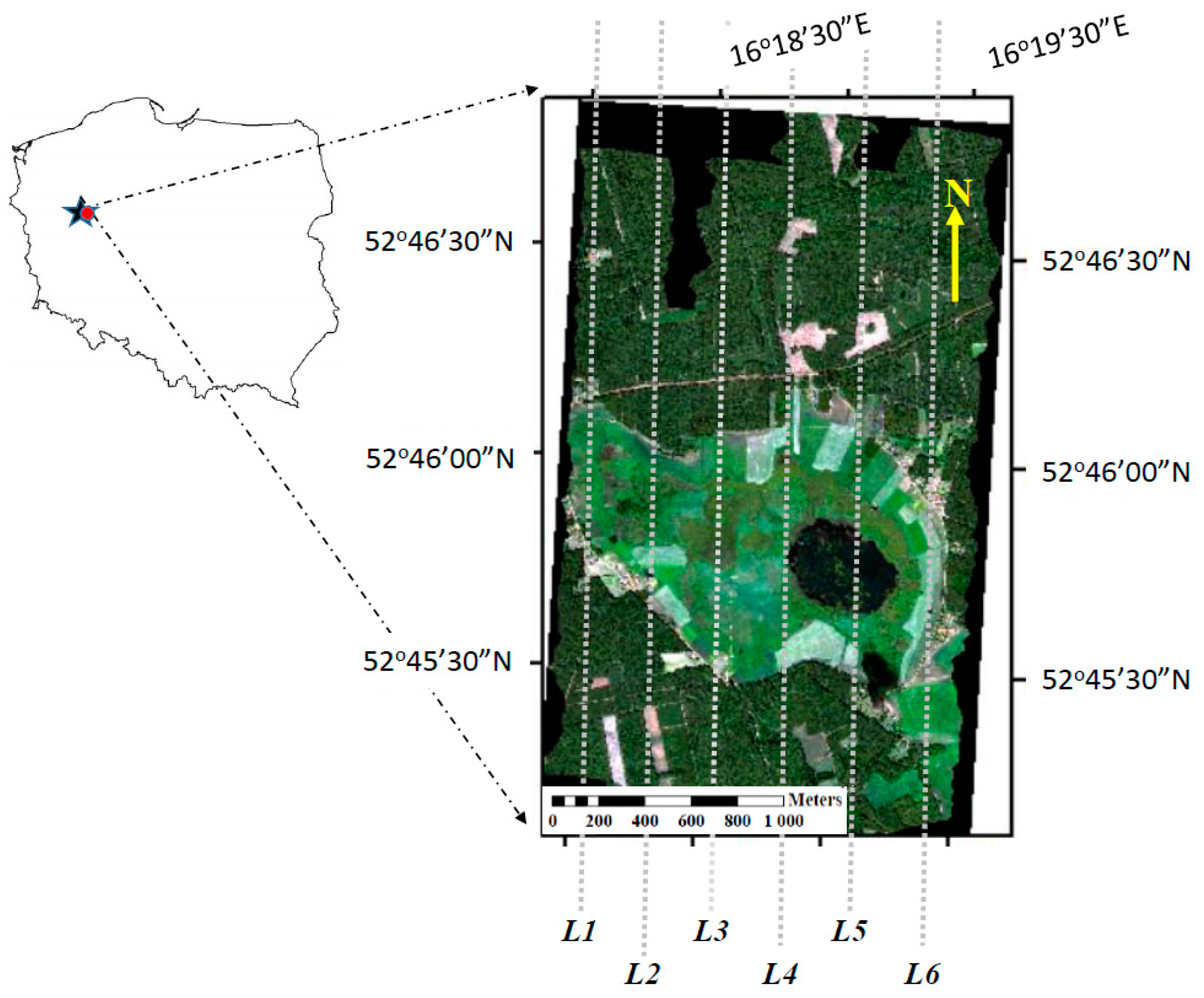 BG - Sun-induced fluorescence as a proxy for primary productivity