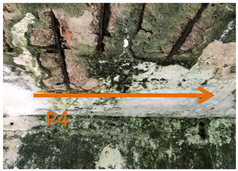 Remotesensing 11 01705 i004