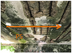 Remotesensing 11 01705 i005