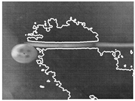 Remotesensing 11 01705 i013