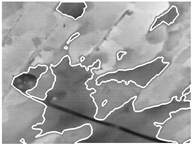 Remotesensing 11 01705 i017