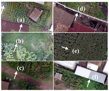 Remotesensing 11 01725 i001