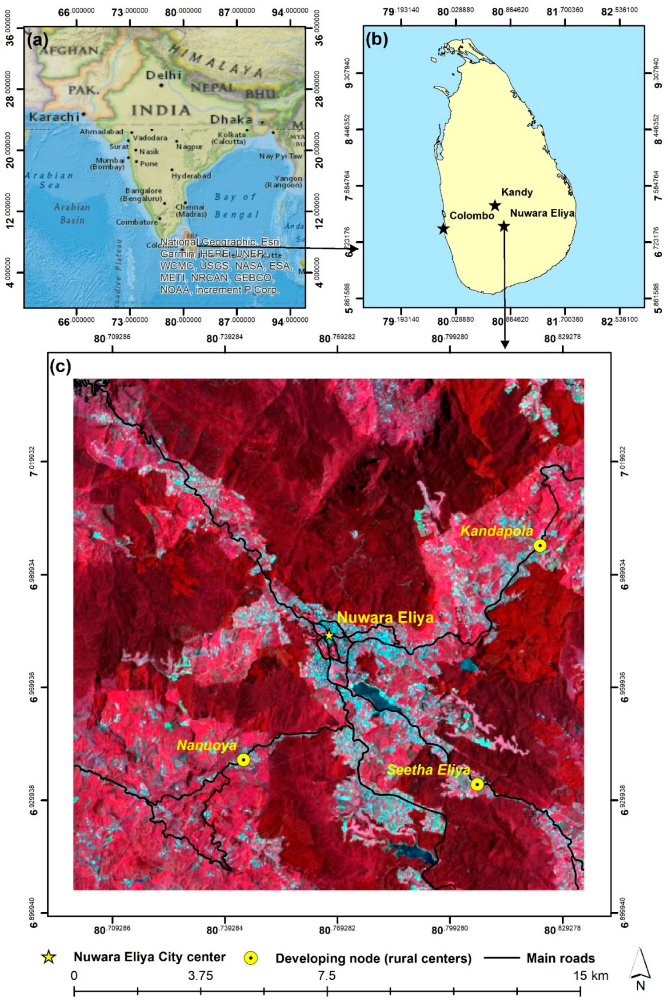 Remotesensing 11 01743 g001