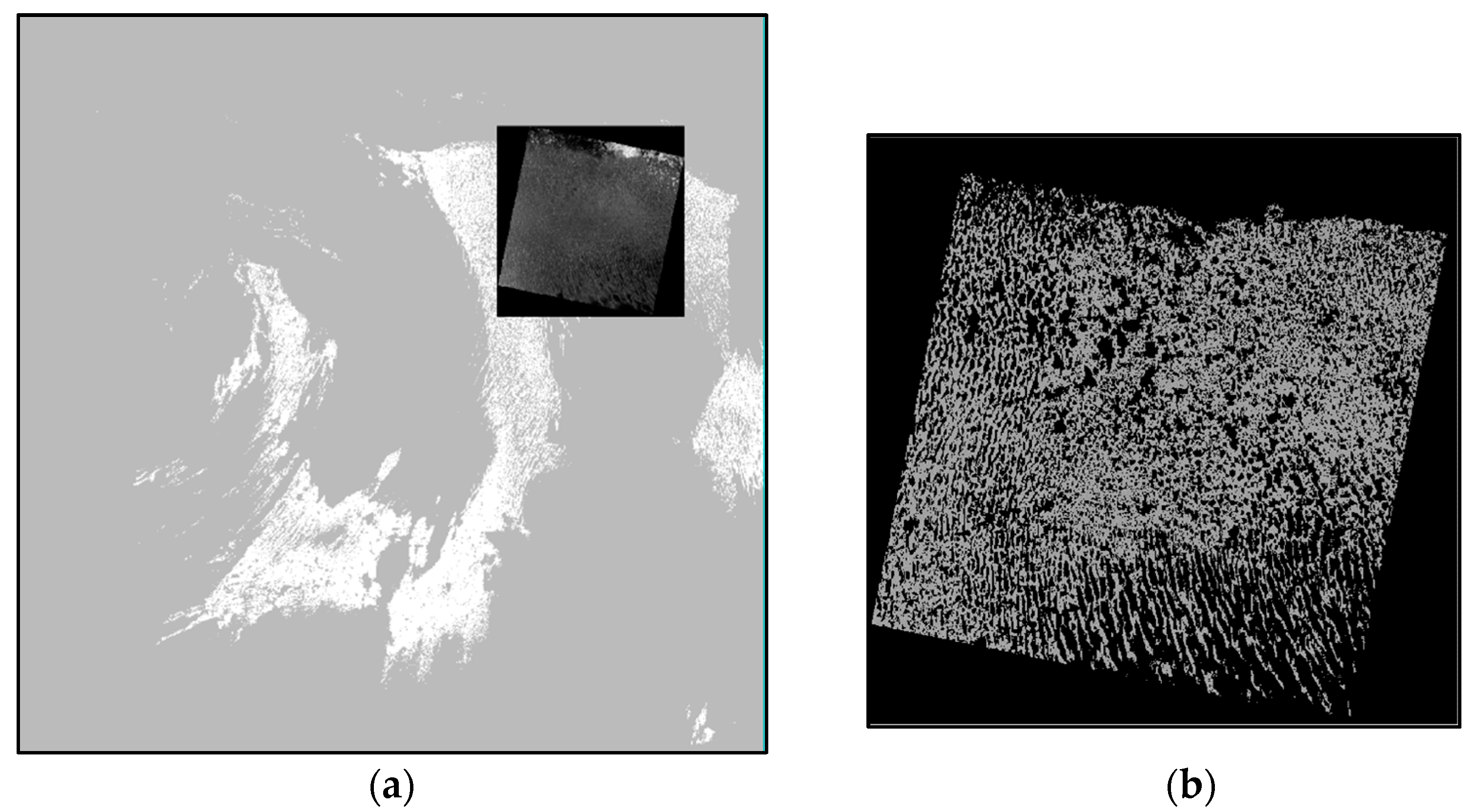 Remotesensing 11 01755 g003