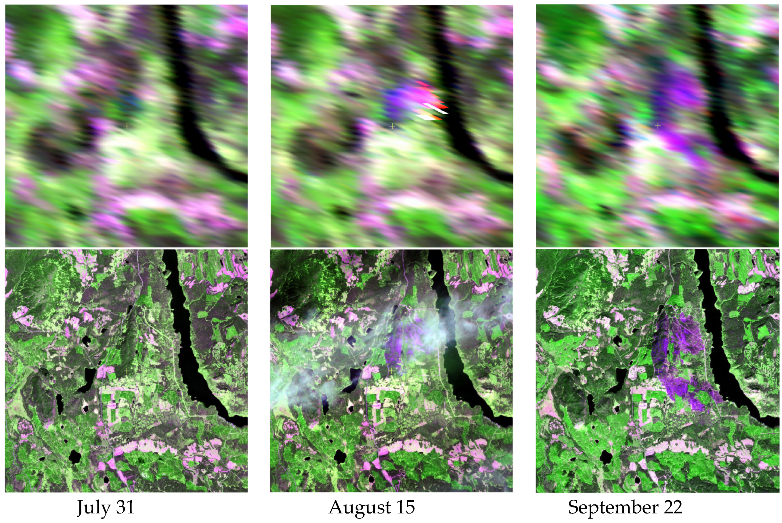 Remotesensing 11 01759 g005 550