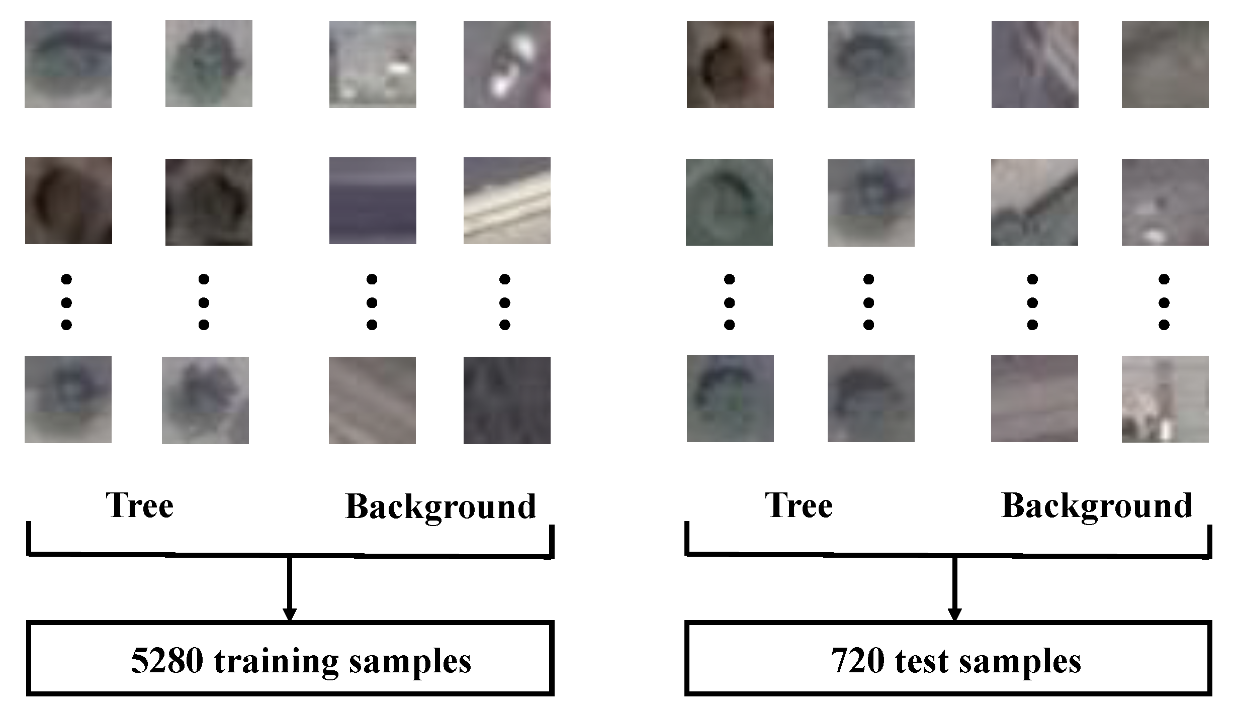 Remotesensing 11 01786 g003