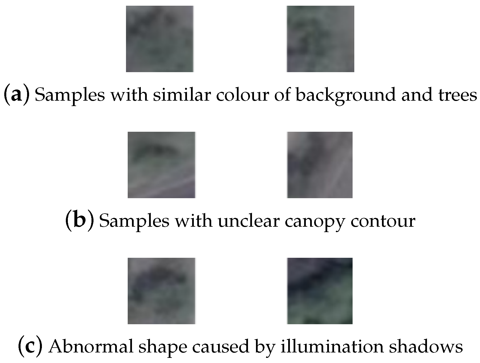 Remotesensing 11 01786 g006