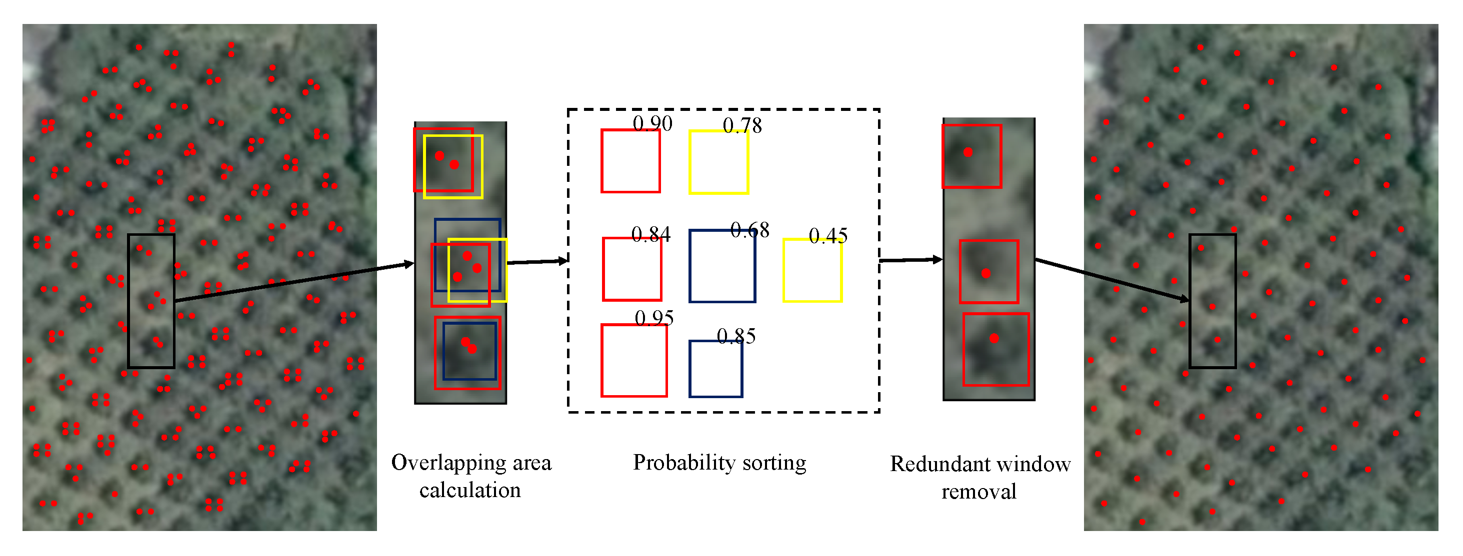 Remotesensing 11 01786 g009