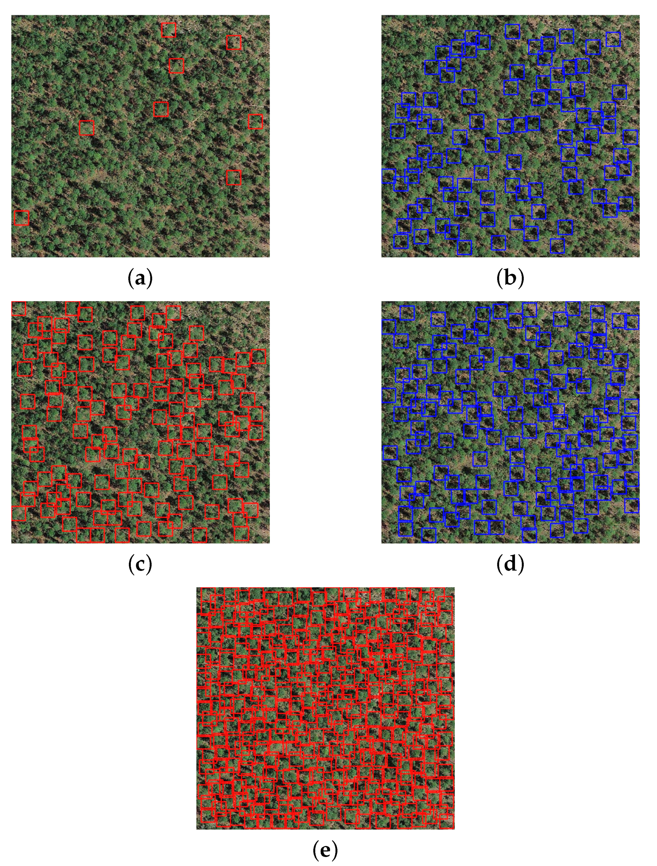 Remotesensing 11 01786 g015