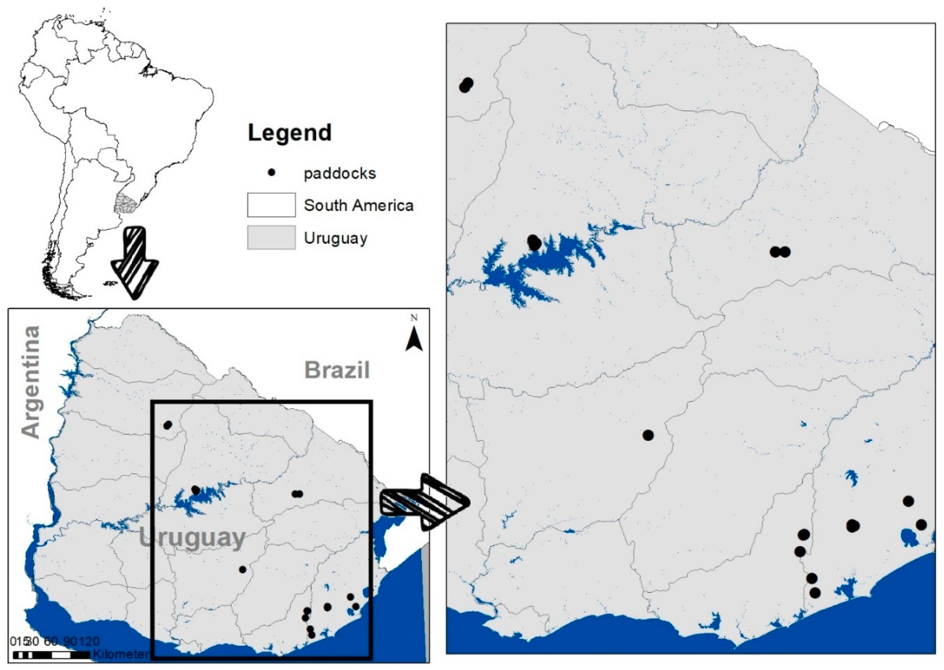 Remotesensing 11 01801 g001 Remotesensing 11 01801 g001