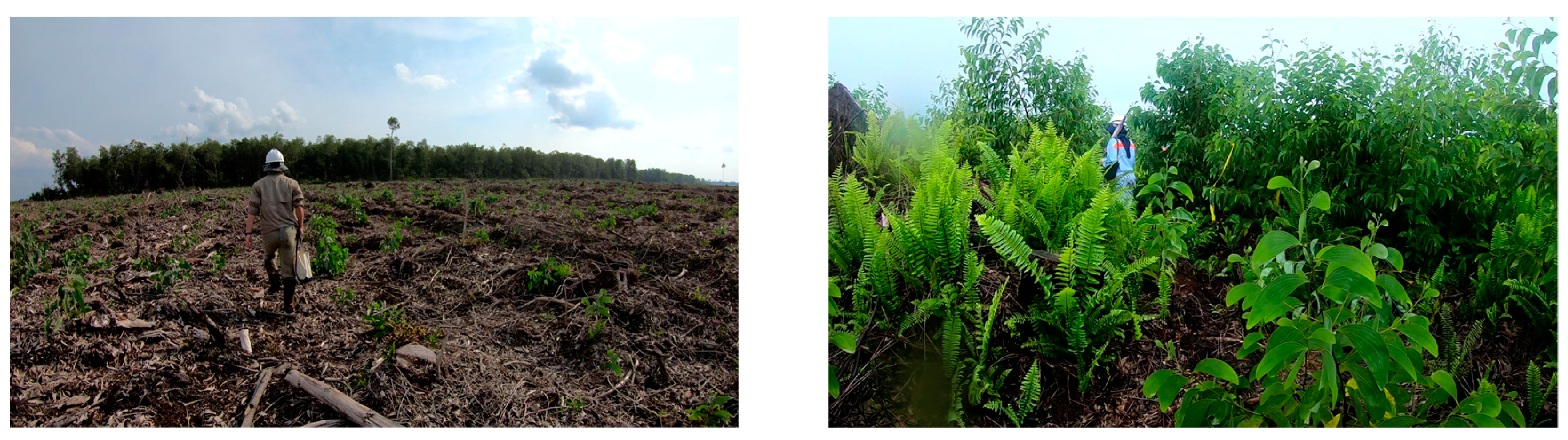 Remotesensing 11 01816 g001 Remotesensing 11 01816 g001