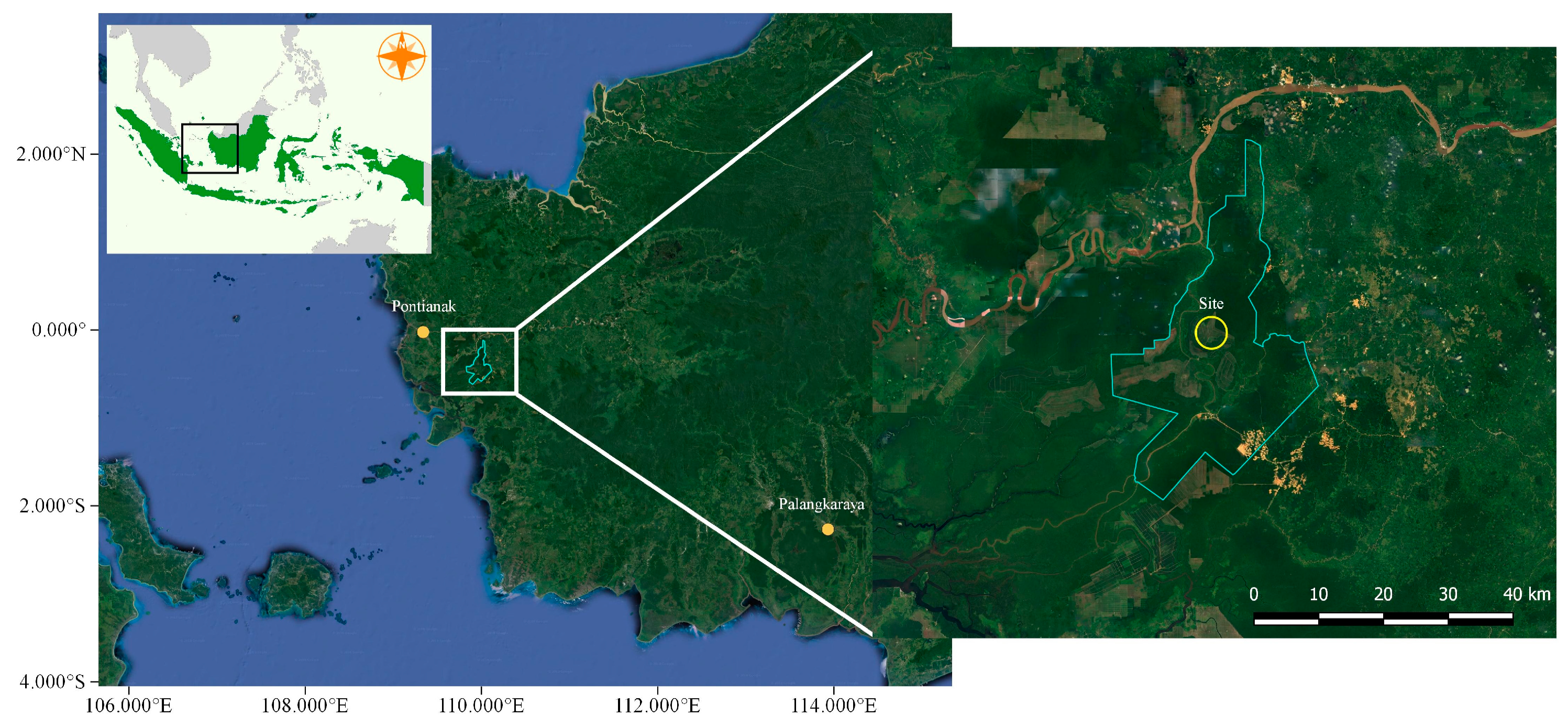 Remotesensing 11 01816 g002 Remotesensing 11 01816 g002