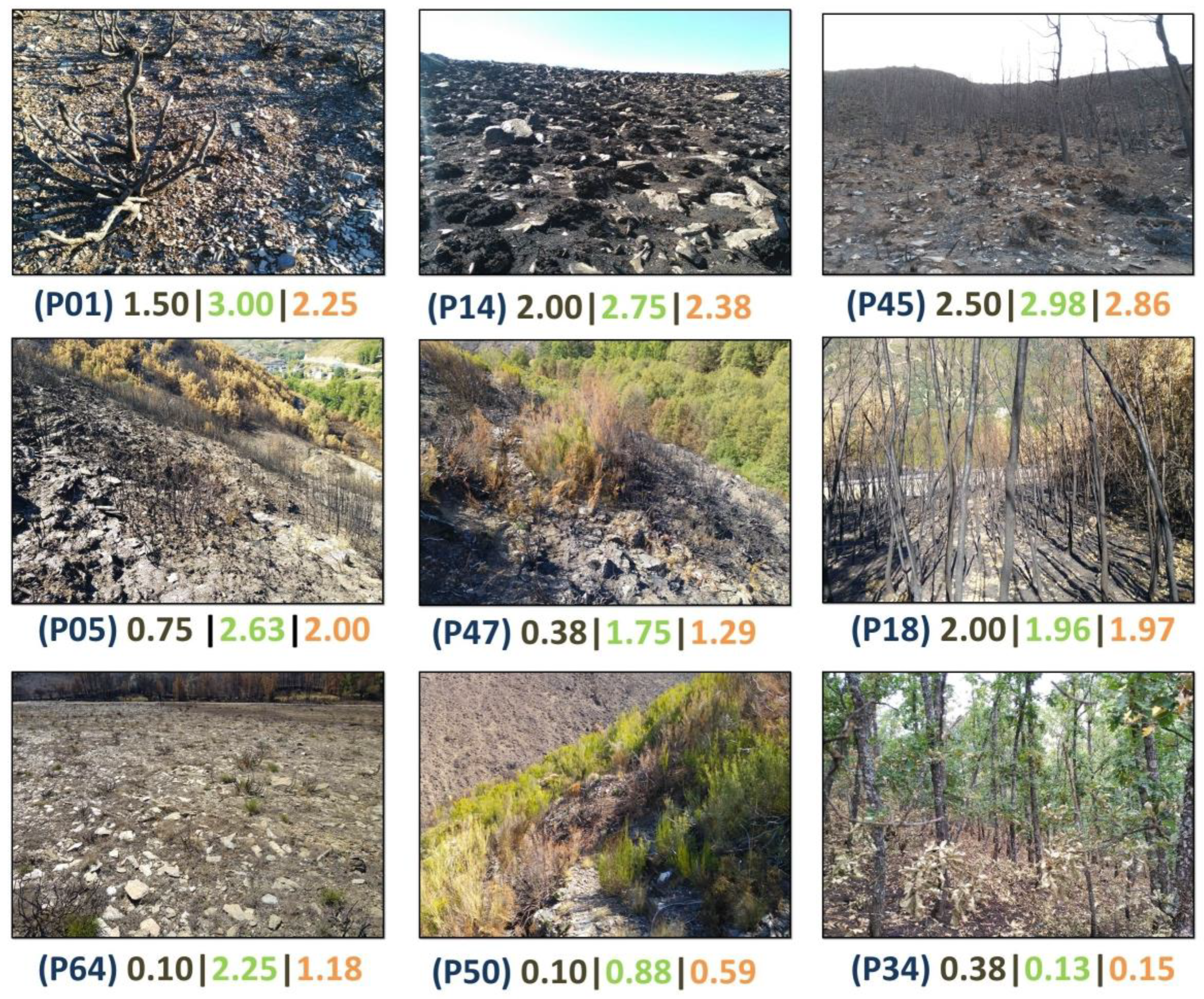 Remotesensing 11 01832 g002