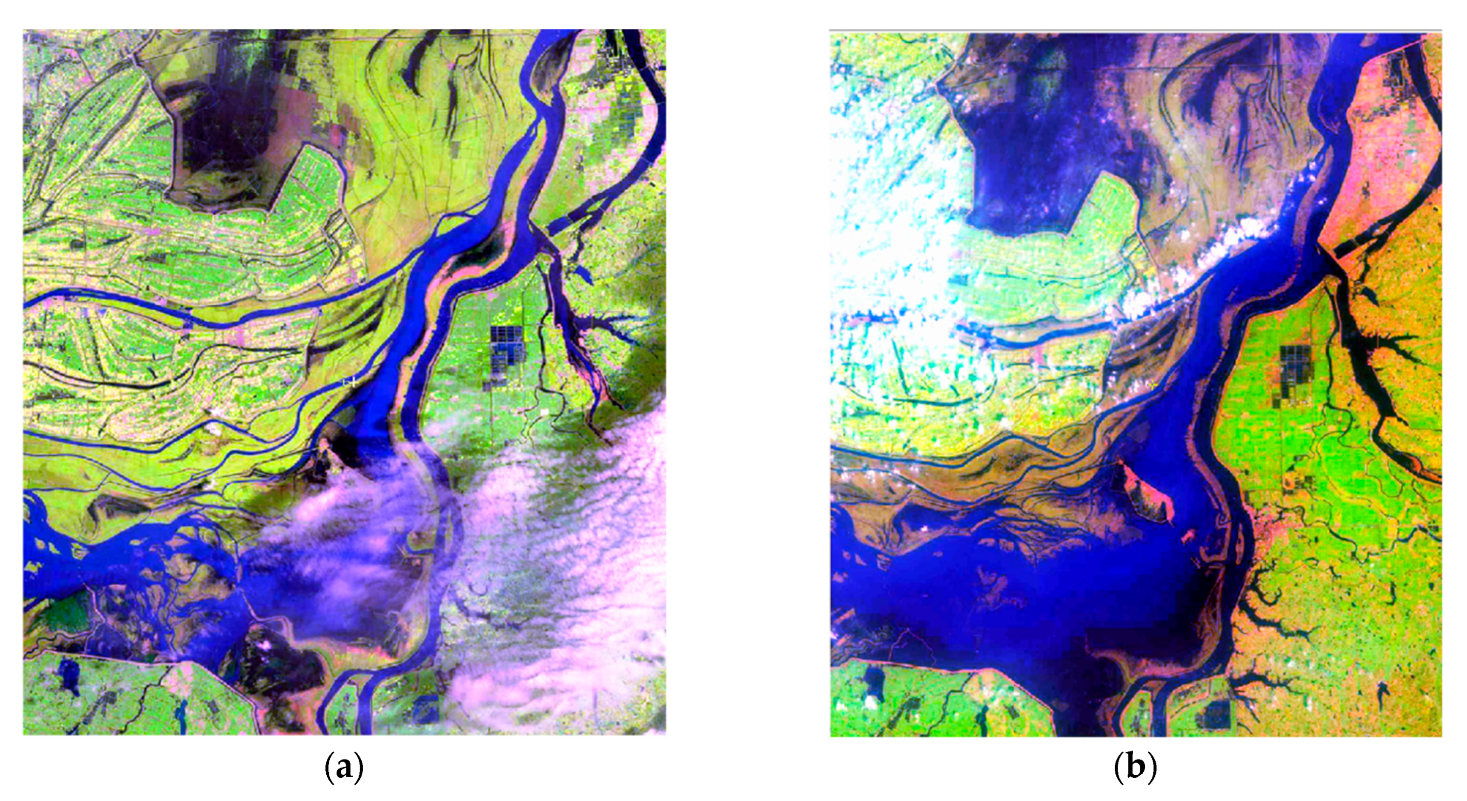 Remotesensing 11 01854 g001