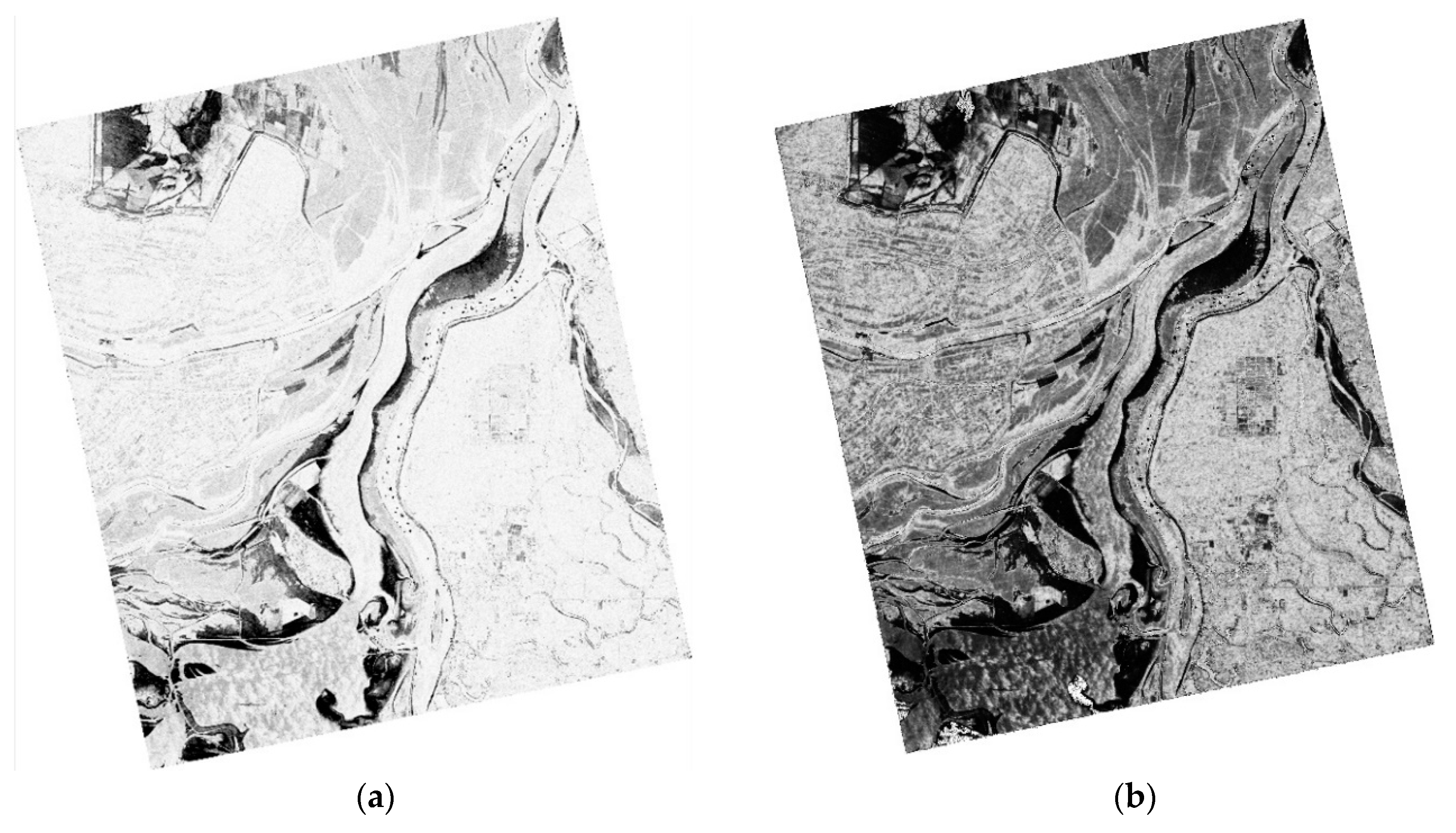 Remotesensing 11 01854 g003