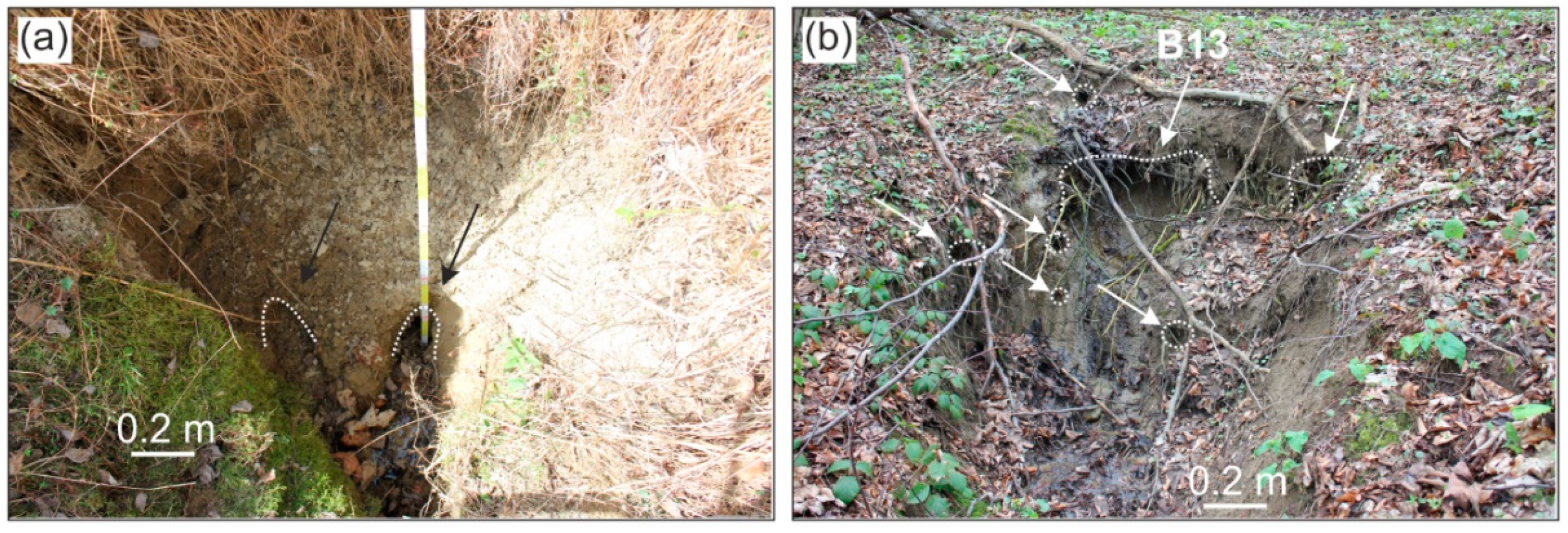 Remotesensing 11 01864 g009 Remotesensing 11 01864 g009