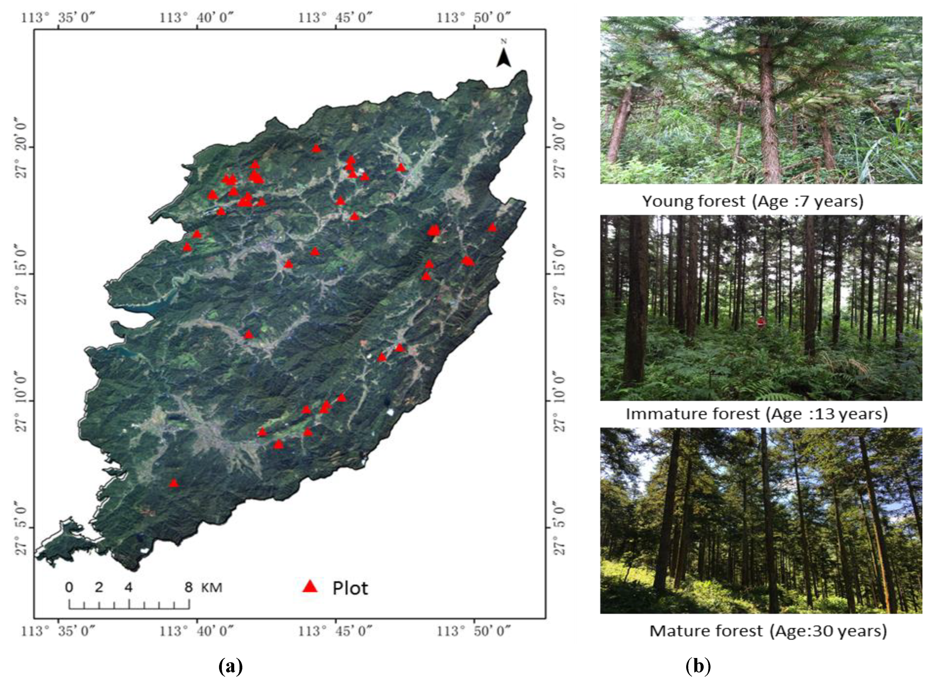 Remotesensing 11 01872 g002