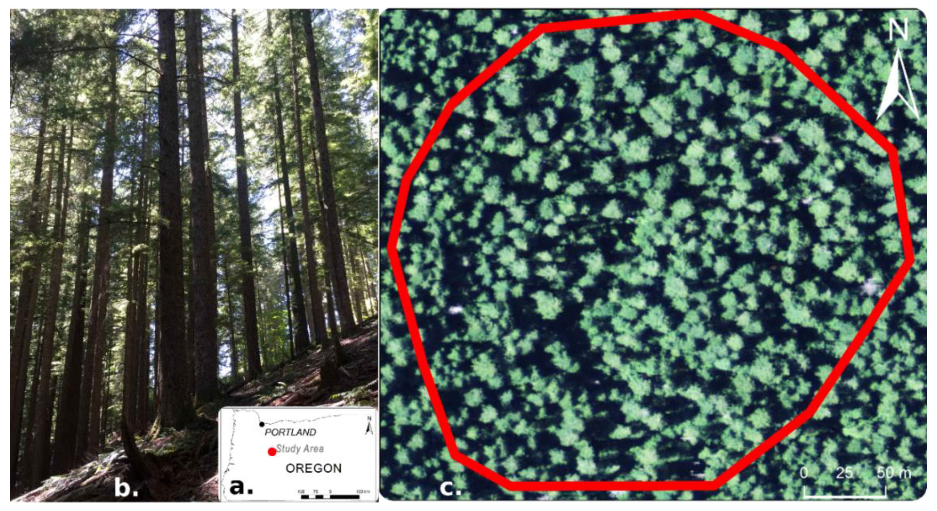 Remotesensing 11 01877 g002