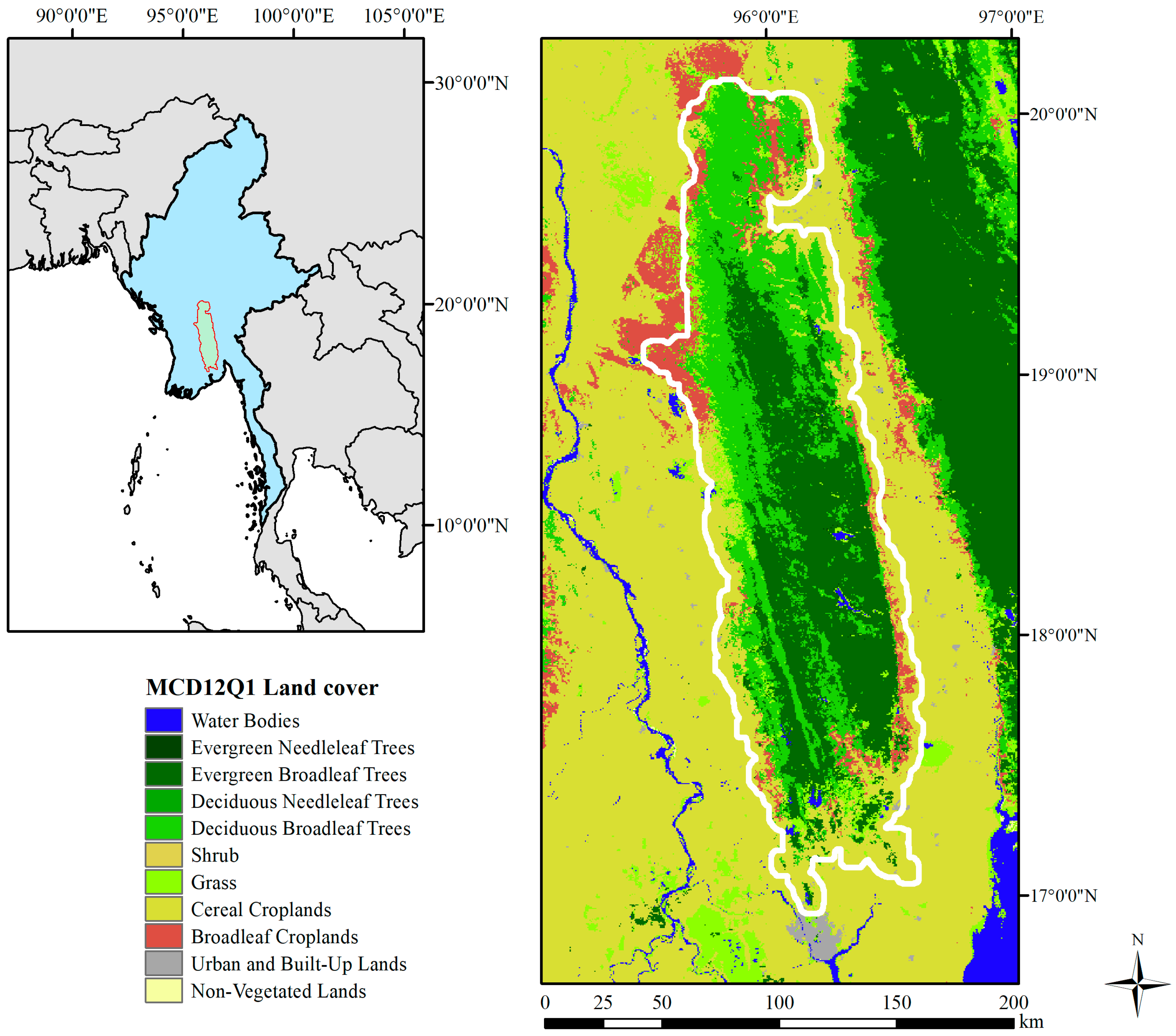 Detecting Forest Changes Using Dense Landsat 8 and Sentinel