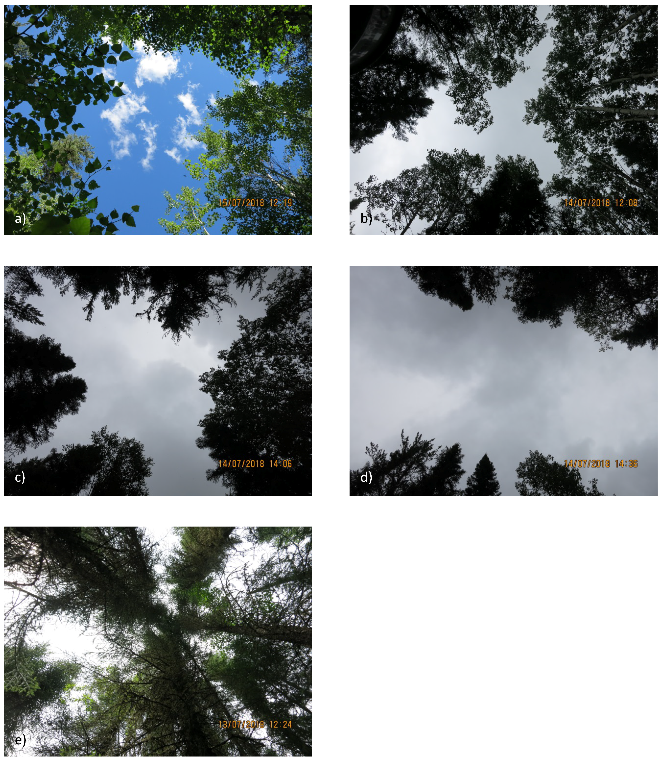 Remotesensing 11 01919 g003 Remotesensing 11 01919 g003