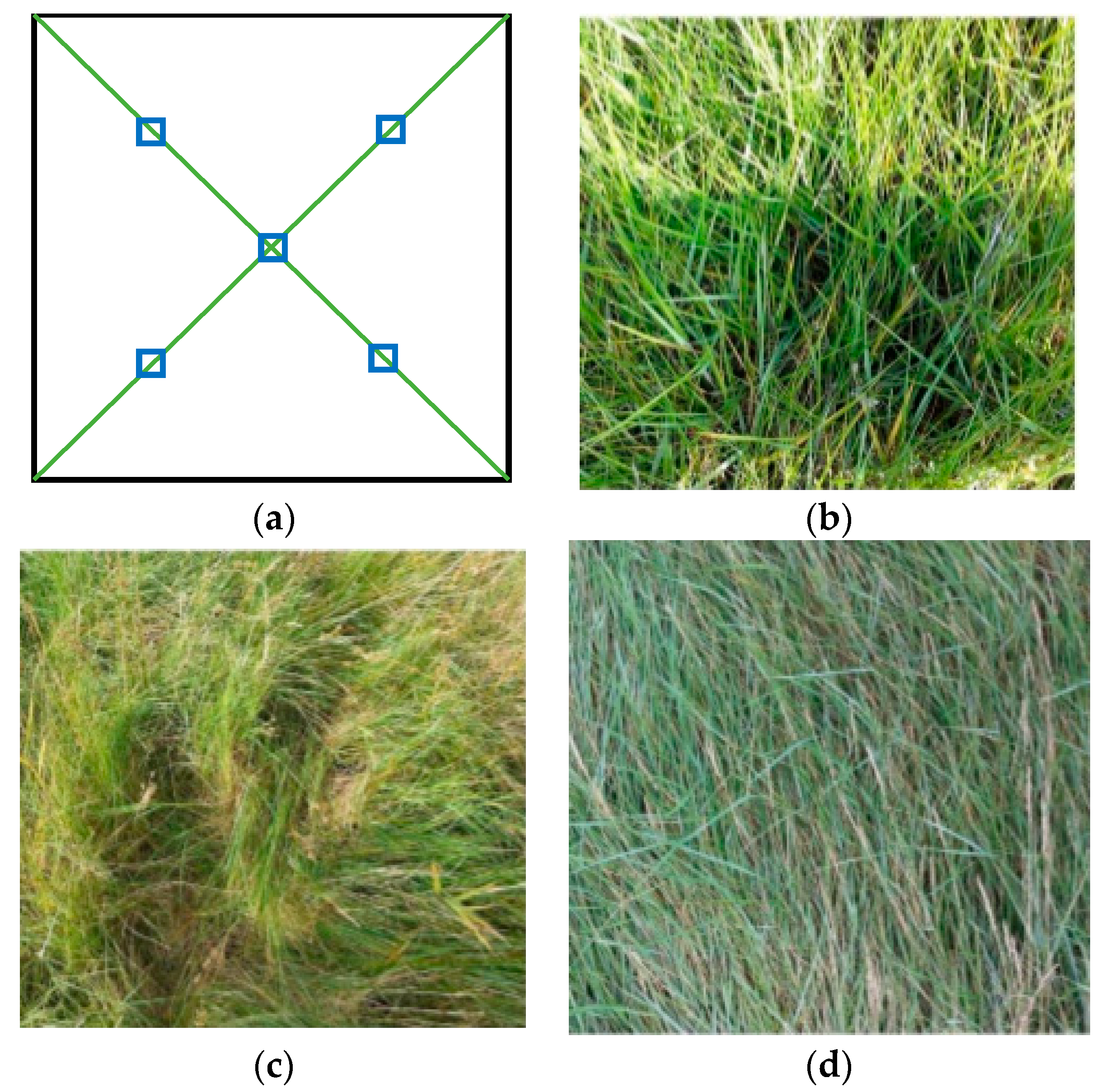 Remotesensing 11 01936 g002 Remotesensing 11 01936 g002