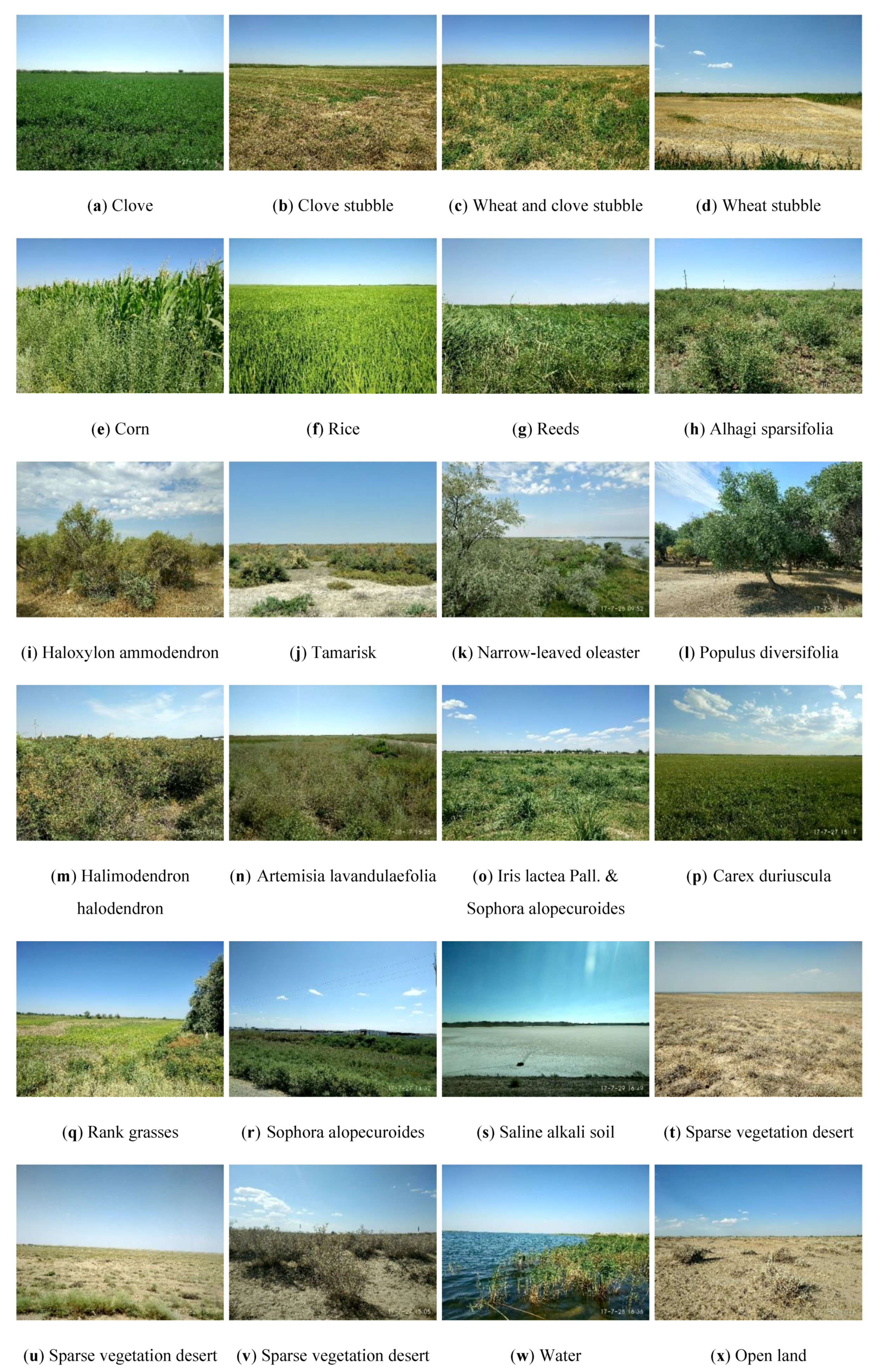 Remotesensing 11 01953 g002