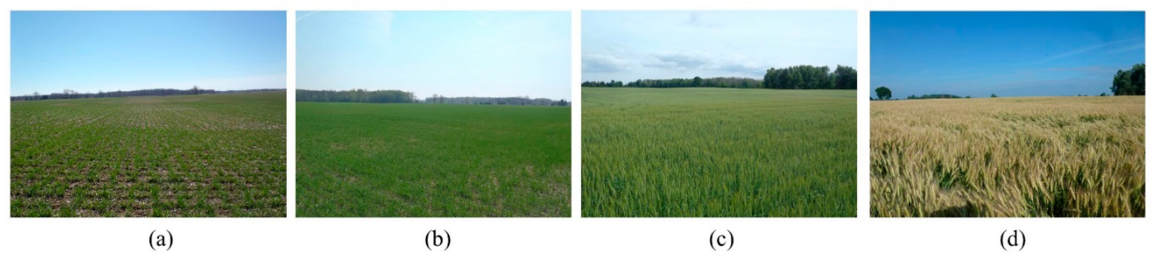 Remotesensing 11 01956 g002 Remotesensing 11 01956 g002