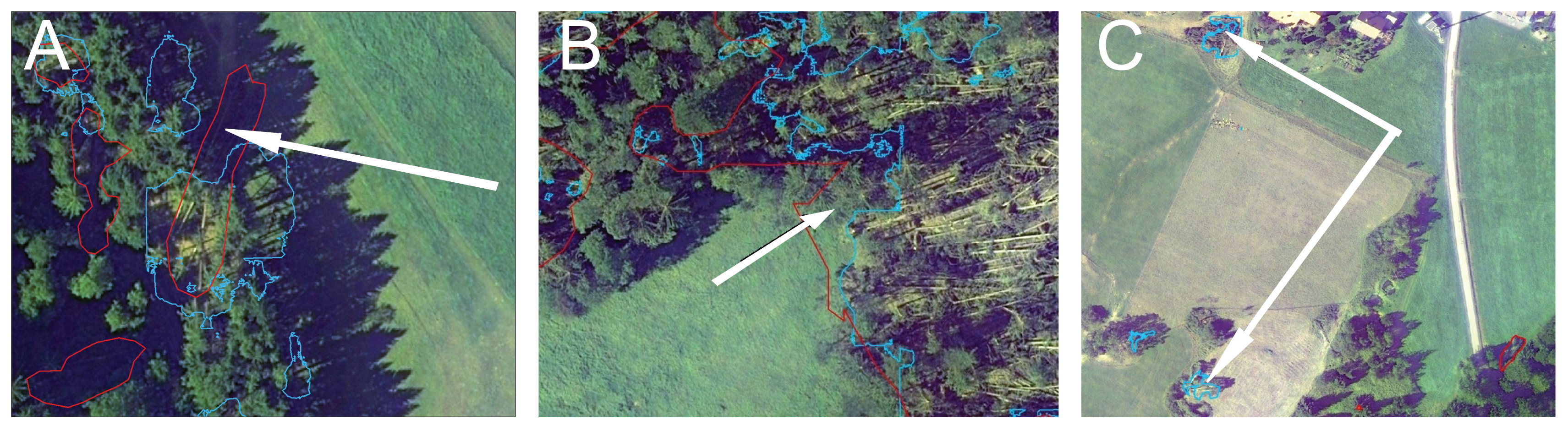 Remotesensing 11 01976 g009 Remotesensing 11 01976 g009