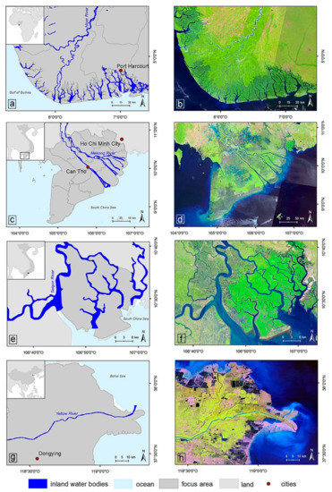 Remote Sensing Free Full Text Remote Sensing For The Quantification Of Land Surface Dynamics In Large River Delta Regions A Review Html