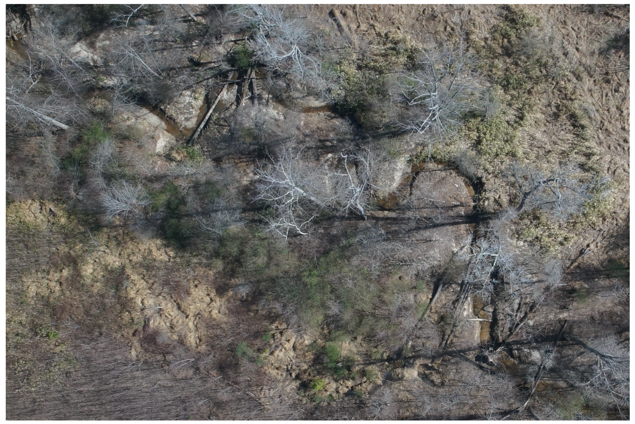 Remotesensing 11 01997 g006