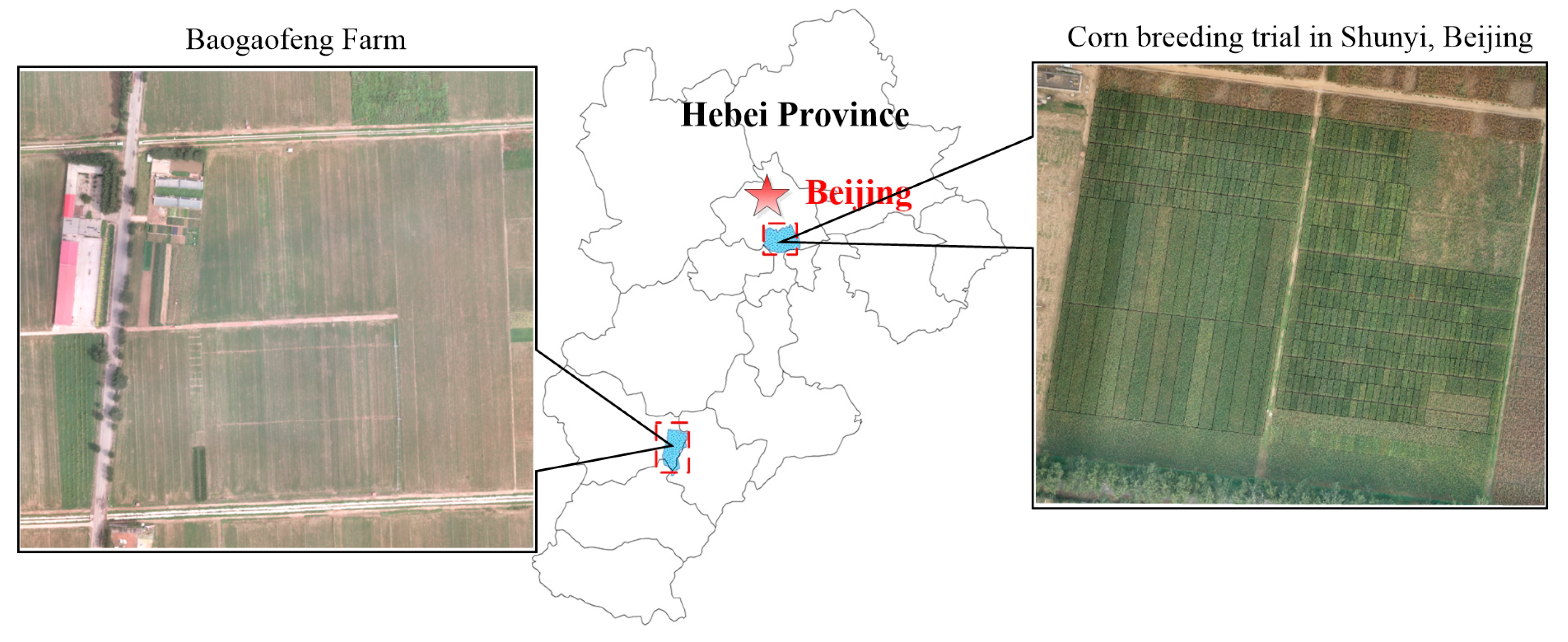 Remotesensing 11 02021 g001 Remotesensing 11 02021 g001