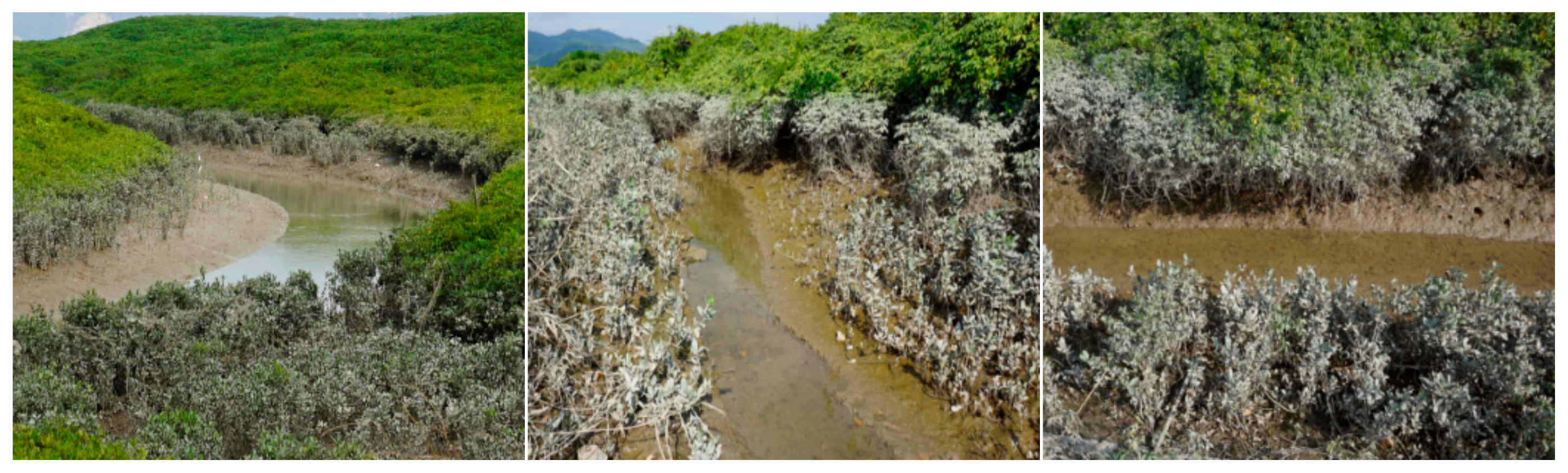 Remotesensing 11 02043 g012 Remotesensing 11 02043 g012