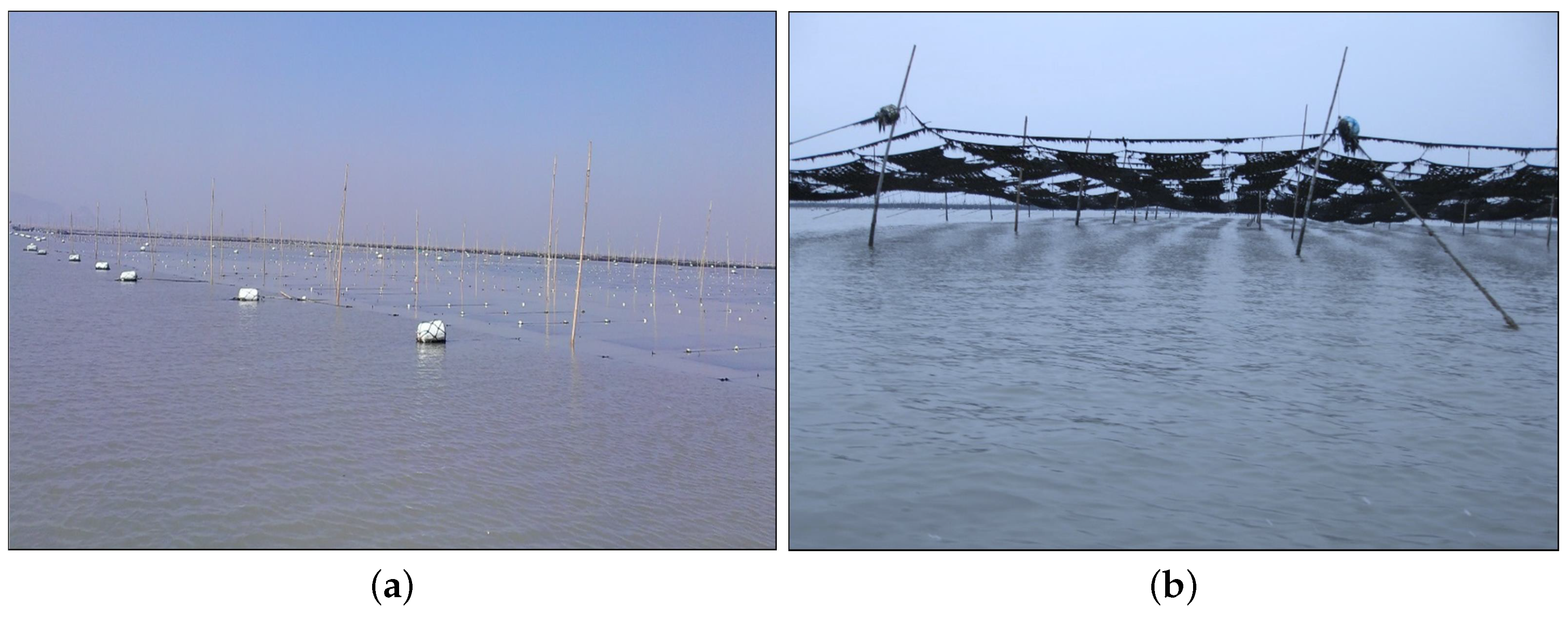 Remotesensing 11 02053 g001