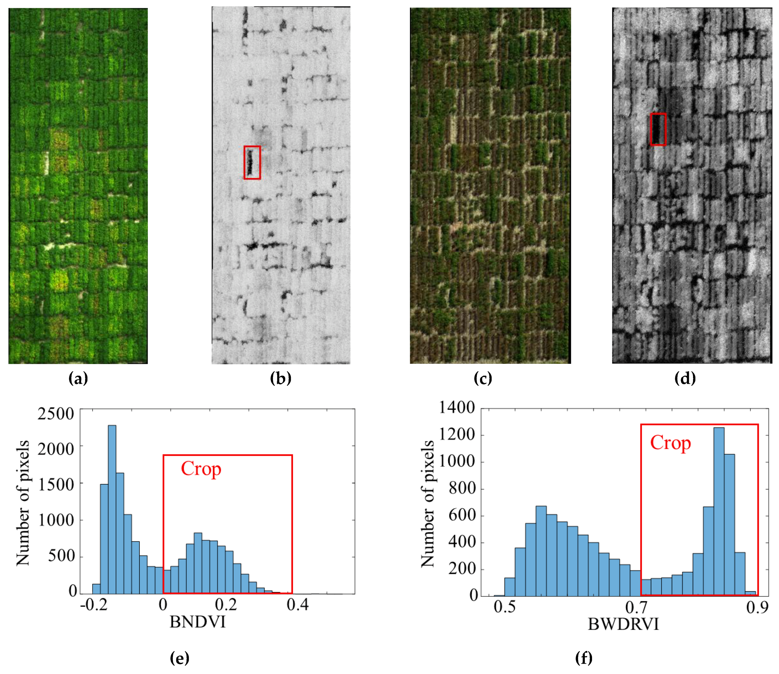 Remotesensing 11 02075 g001 Remotesensing 11 02075 g001