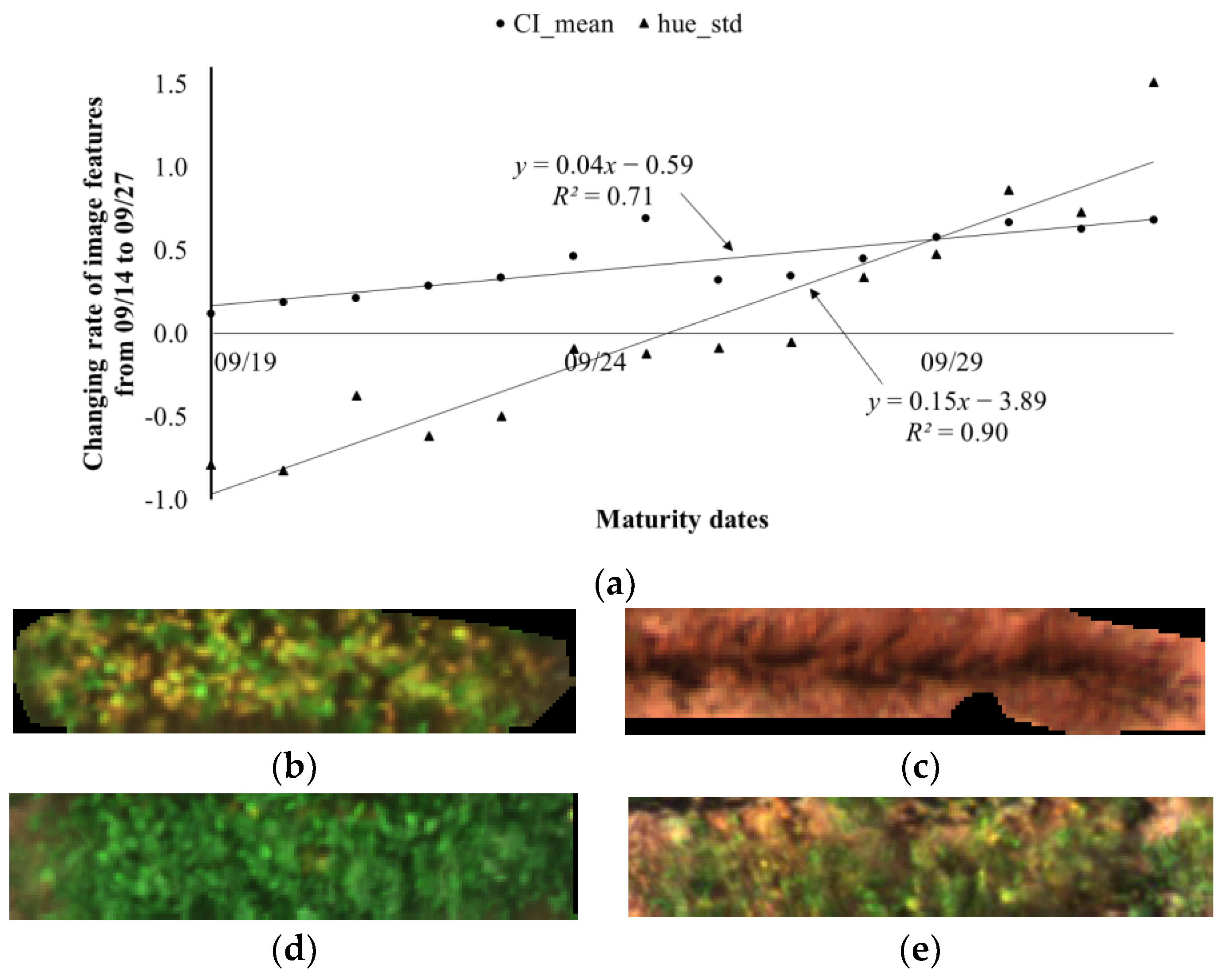 Remotesensing 11 02075 g008 Remotesensing 11 02075 g008