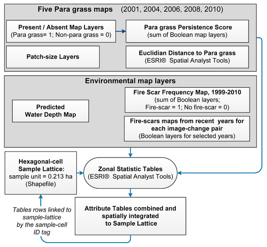 Remote Sensing Free Full Text Spatial Dynamics Of Invasive Para Grass On A Monsoonal Floodplain Kakadu National Park Northern Australia Html