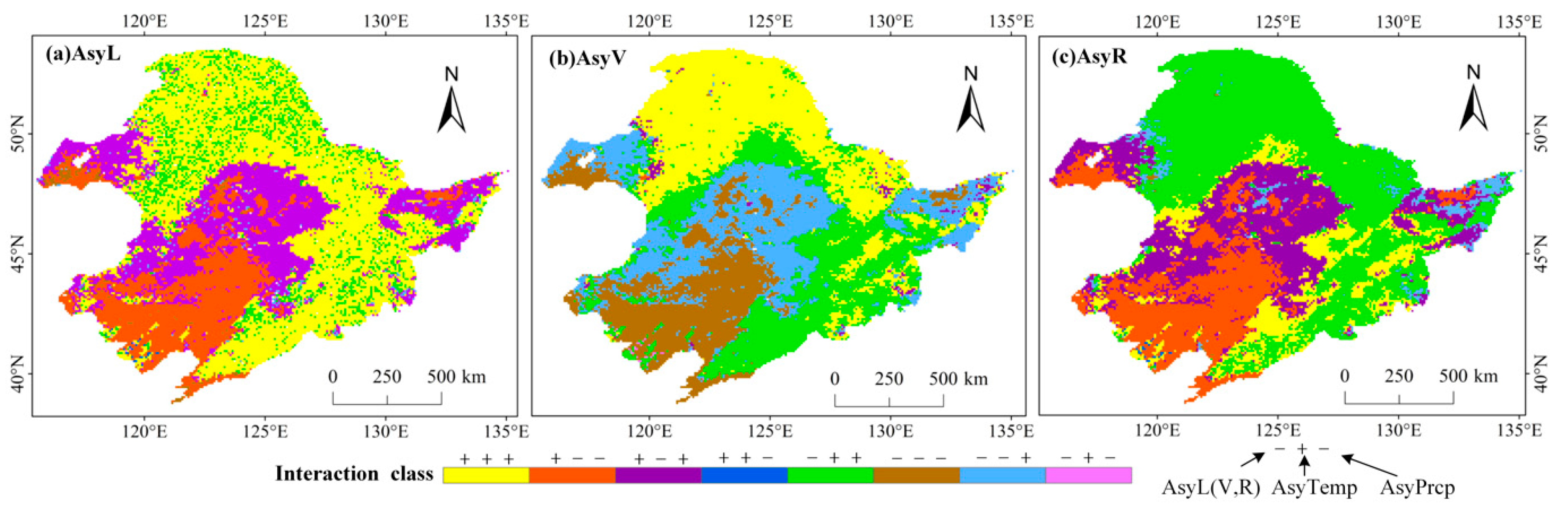 Asymmetric Behavior of Vegetation