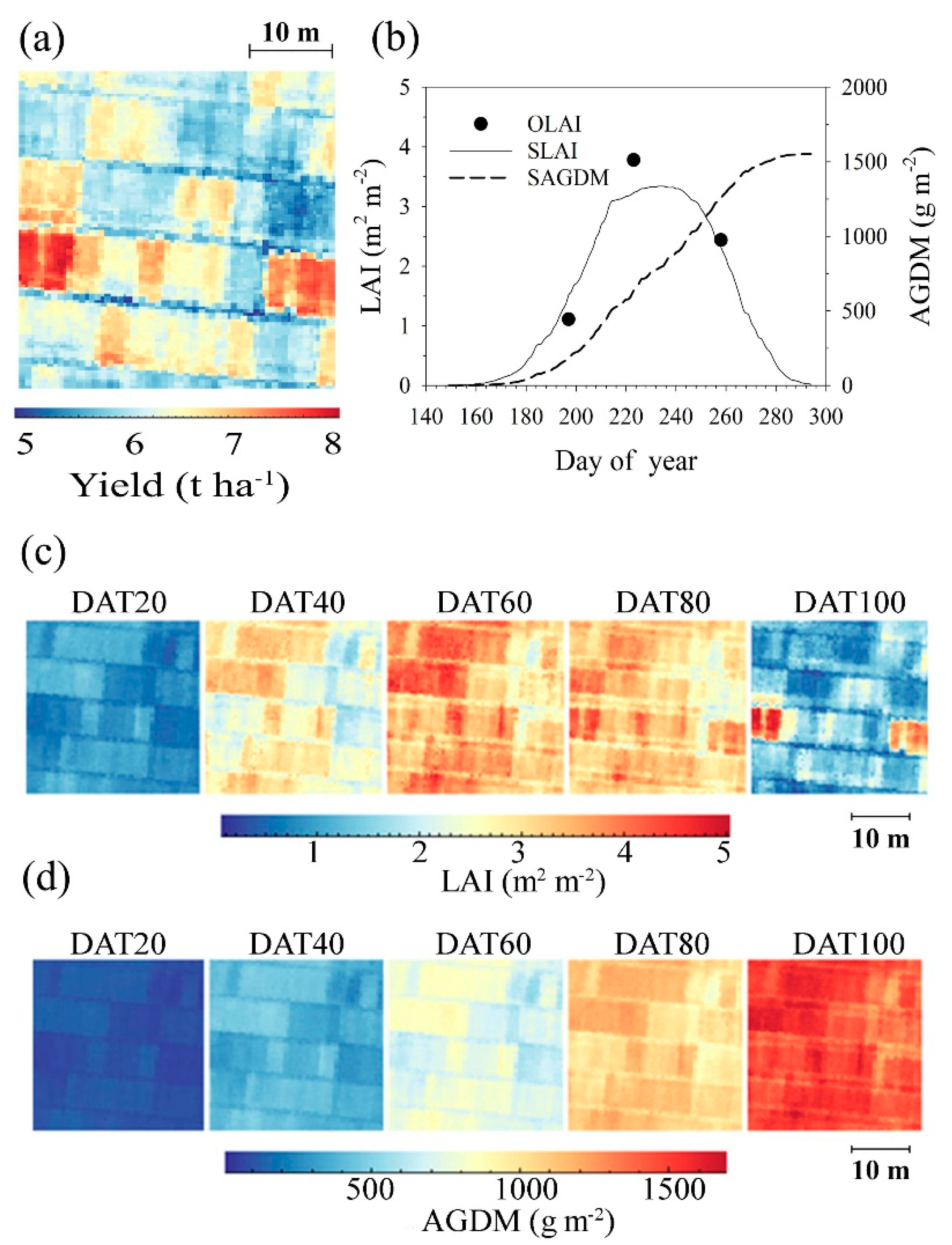 Remotesensing 11 02131 g008 Remotesensing 11 02131 g008