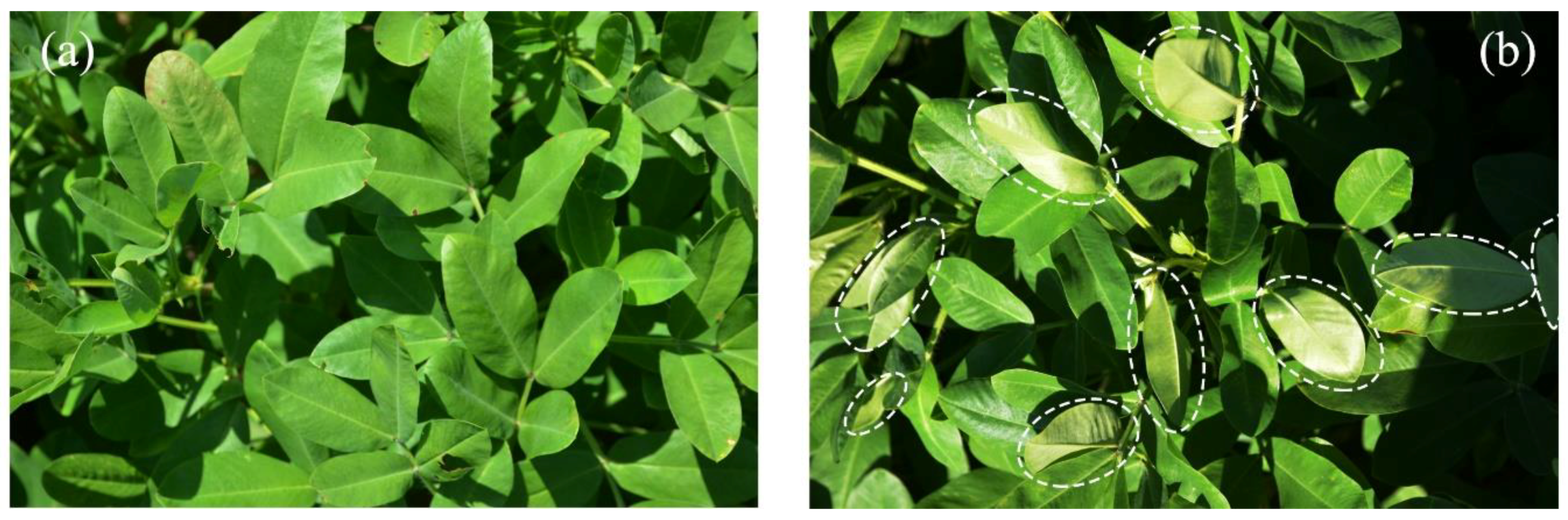 Remotesensing 11 02148 g001 Remotesensing 11 02148 g001