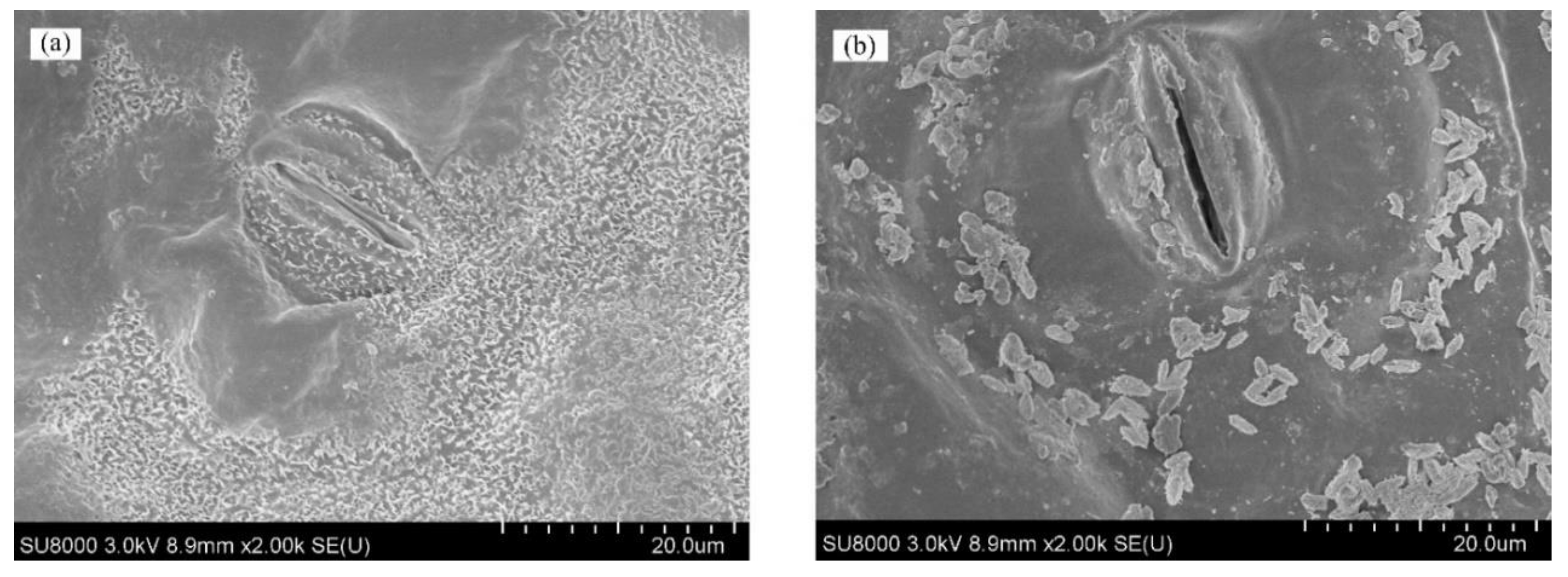 Remotesensing 11 02148 g003 Remotesensing 11 02148 g003