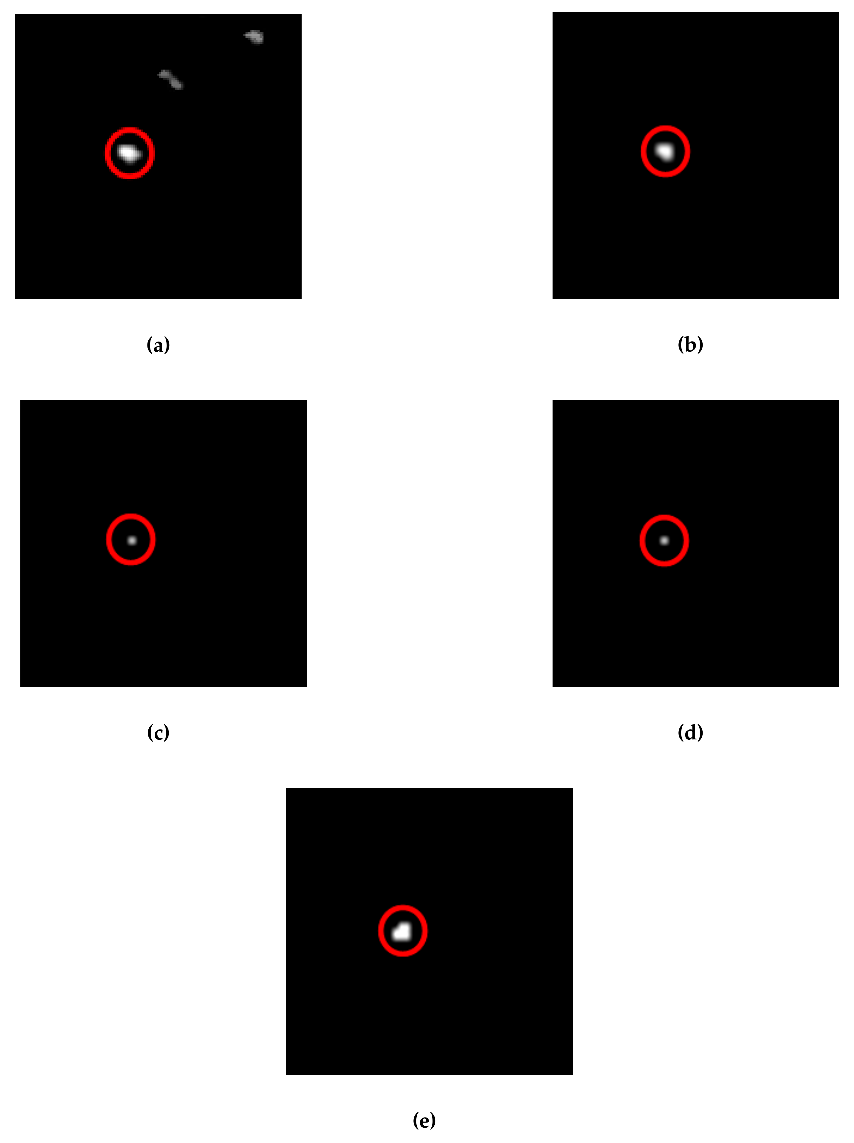 Remotesensing 11 02164 g011