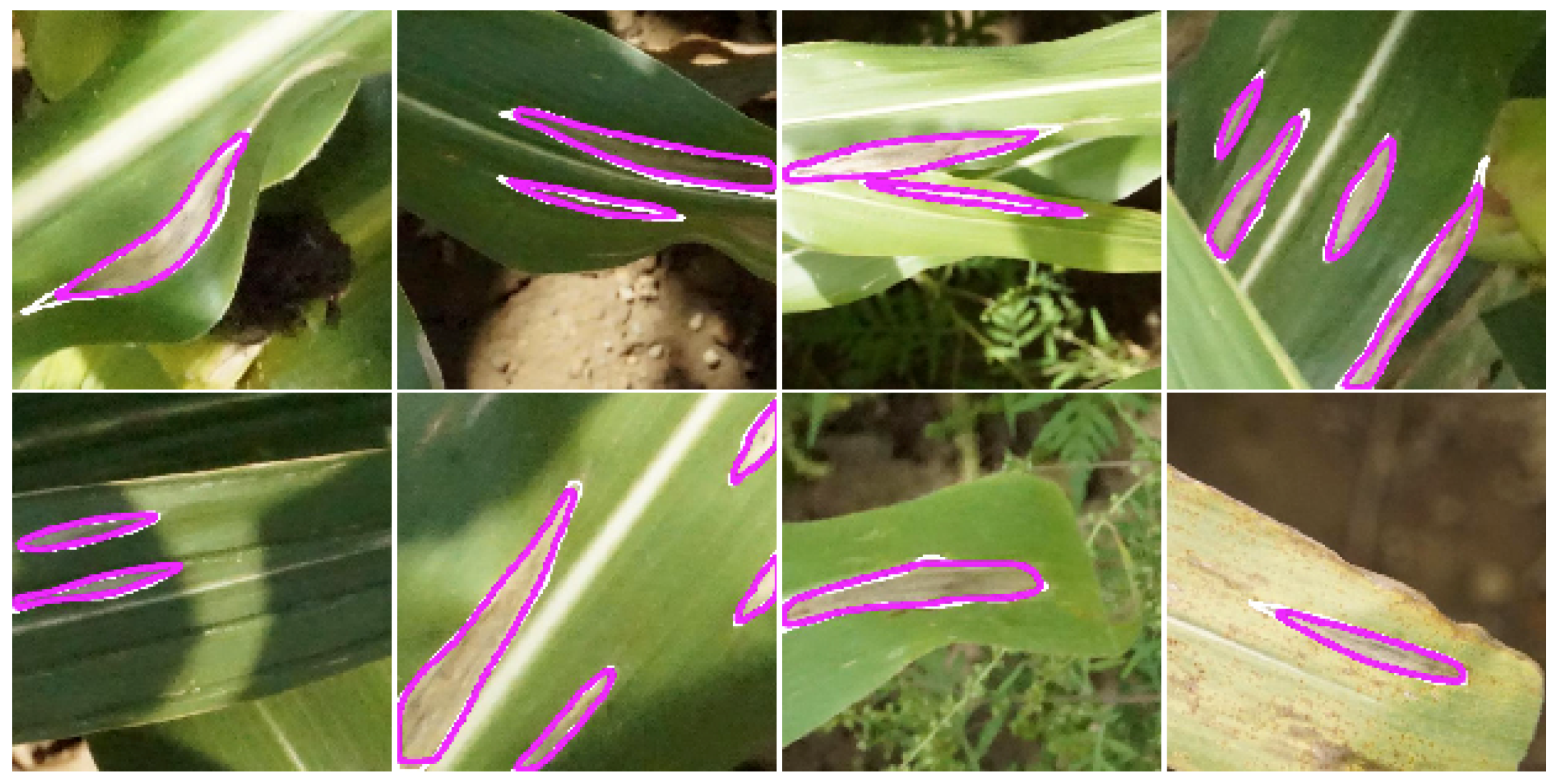 Remotesensing 11 02209 g002 Remotesensing 11 02209 g002