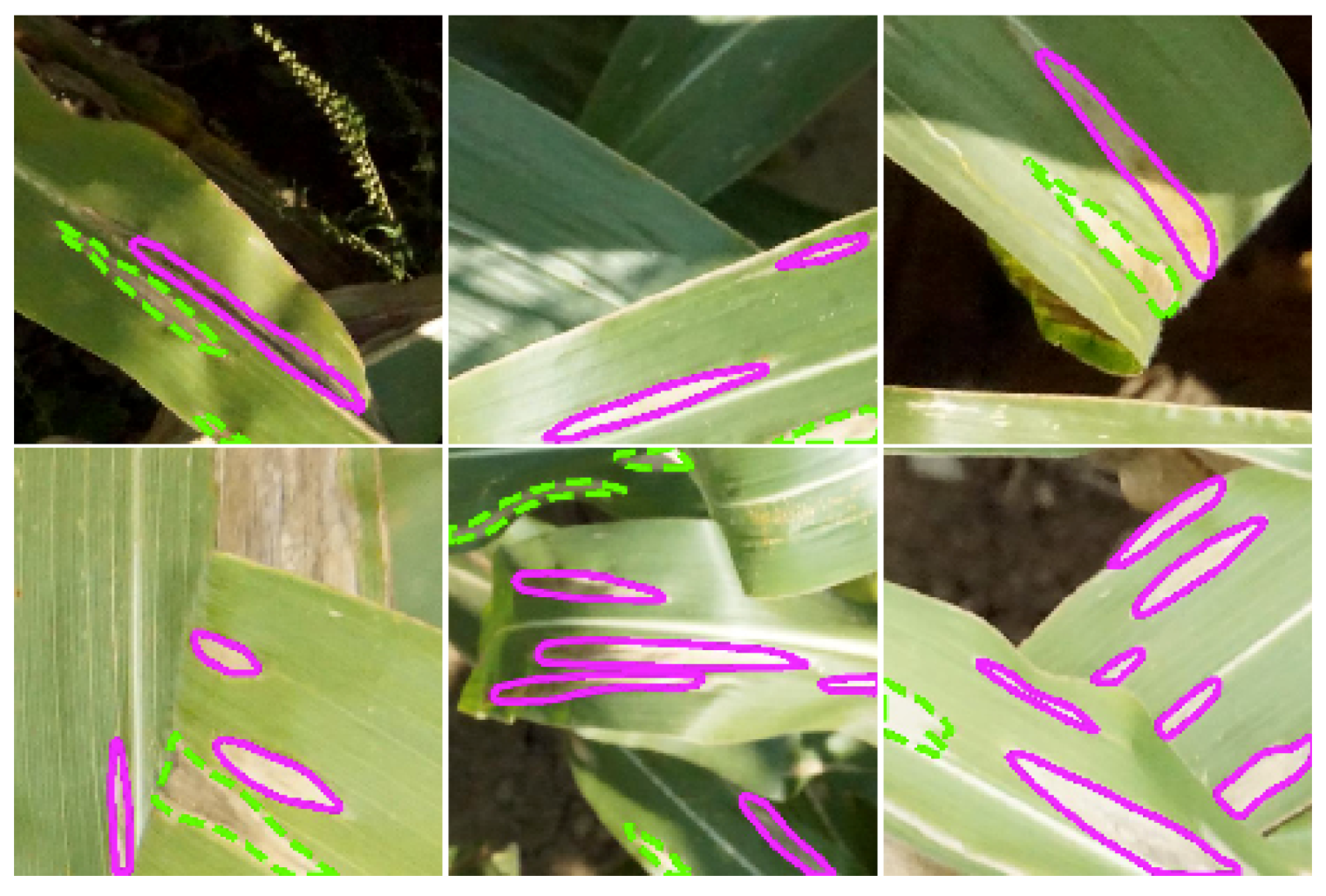 Remotesensing 11 02209 g003 Remotesensing 11 02209 g003