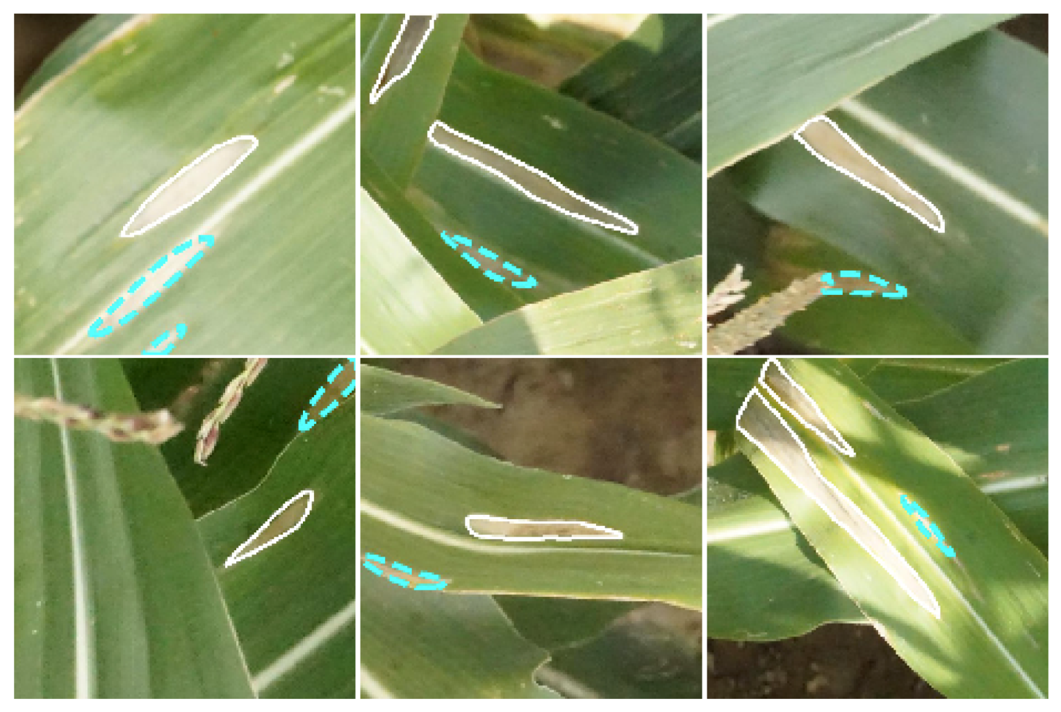 Remotesensing 11 02209 g004 Remotesensing 11 02209 g004