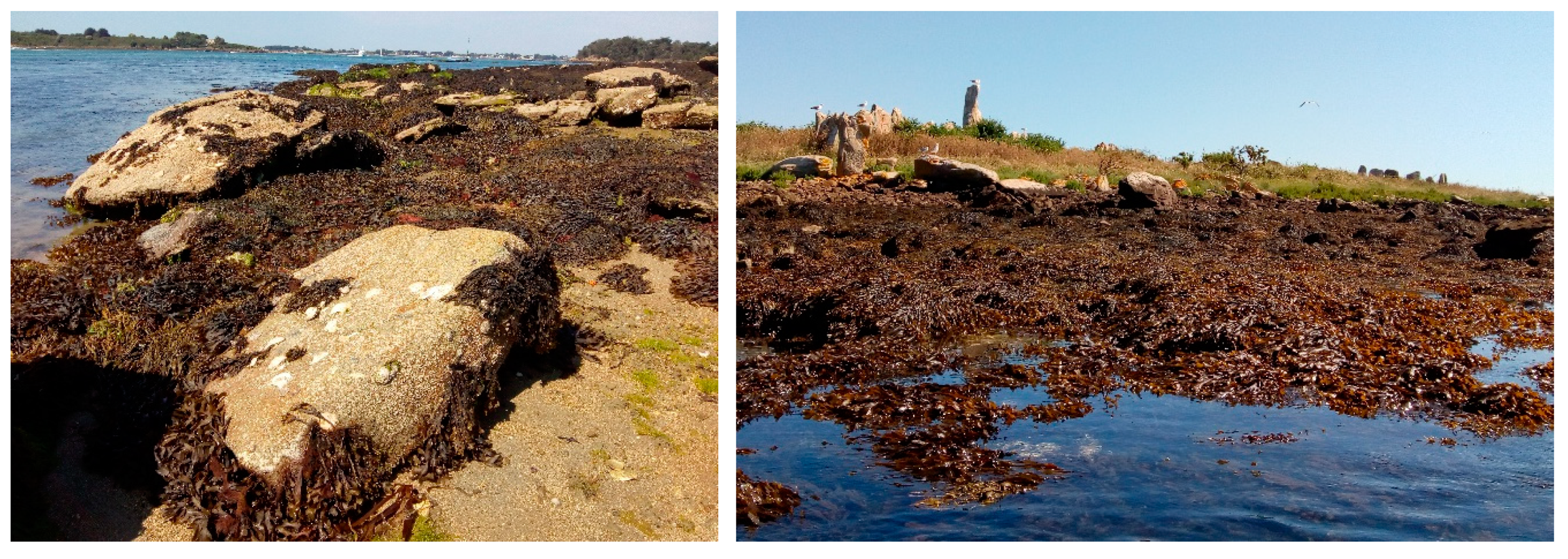 Remotesensing 11 02237 g002 Remotesensing 11 02237 g002