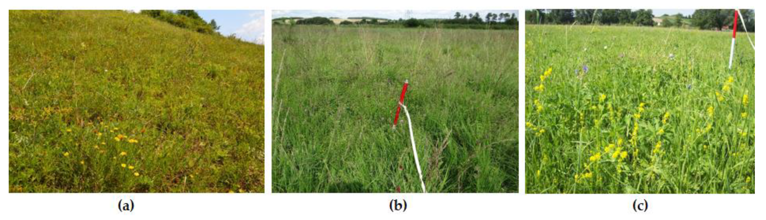 Remotesensing 11 02264 g002 Remotesensing 11 02264 g002