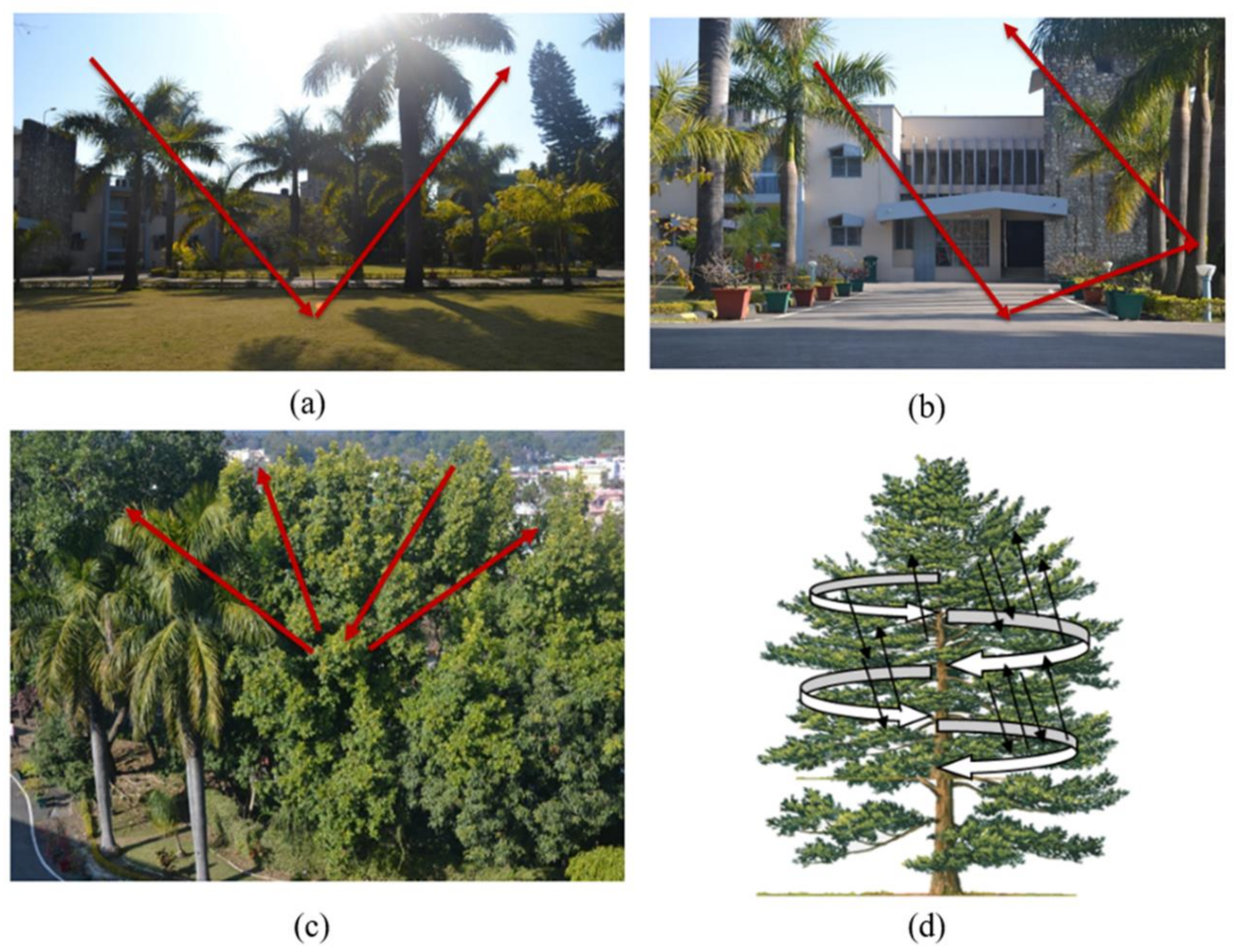 Remotesensing 11 02287 g005 Remotesensing 11 02287 g005