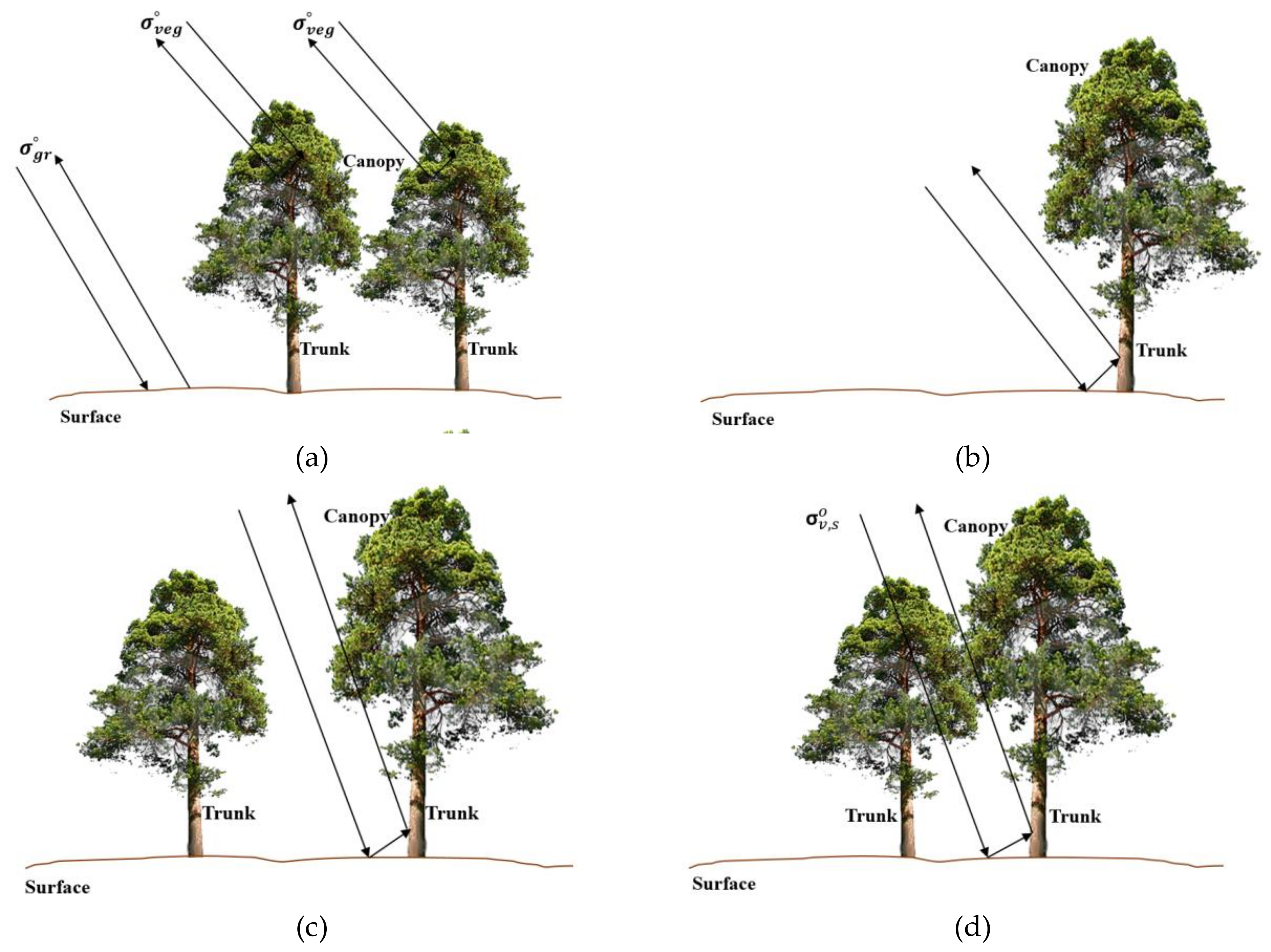 Remotesensing 11 02287 g009 Remotesensing 11 02287 g009