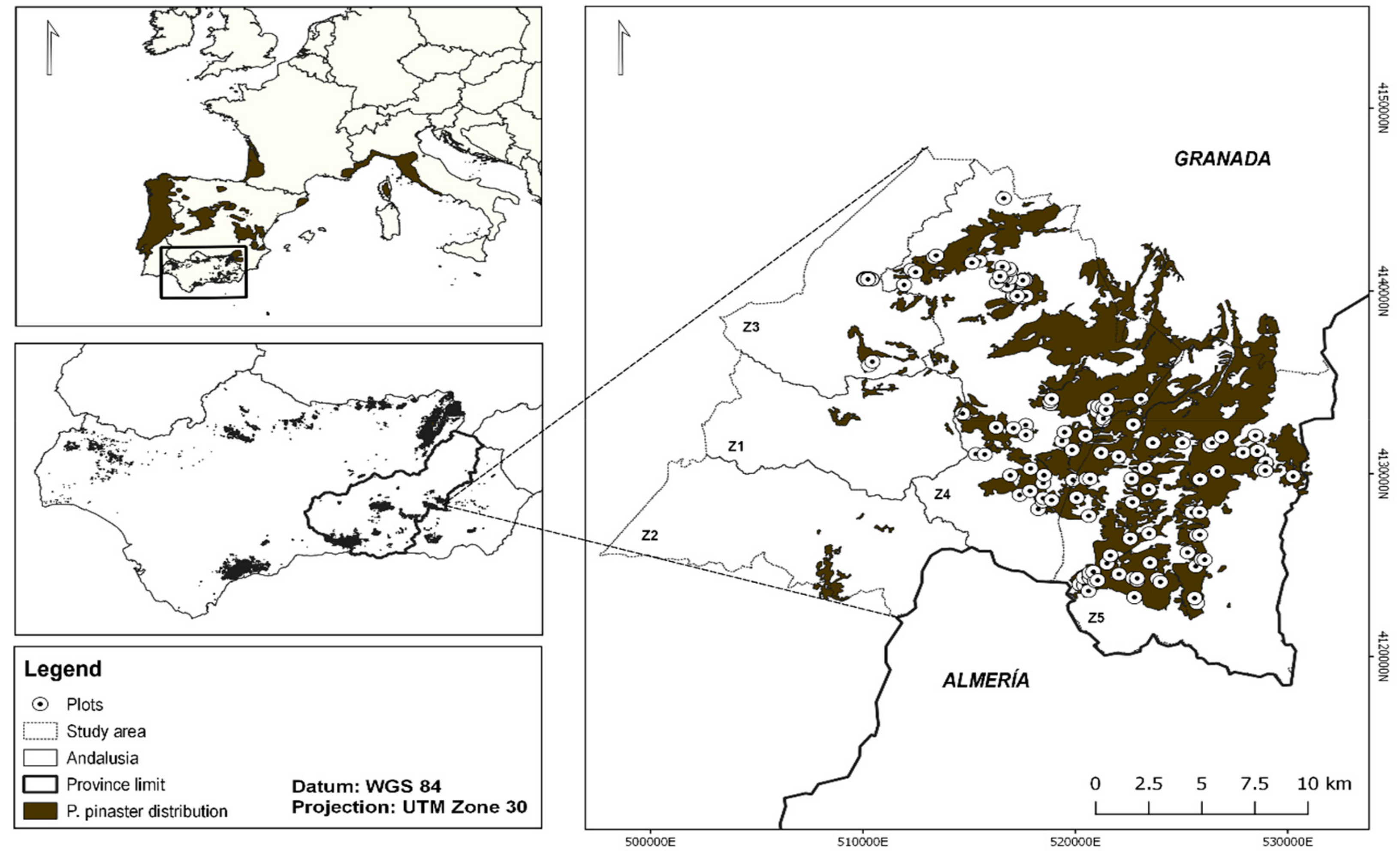 Remotesensing 11 02291 g001 Remotesensing 11 02291 g001