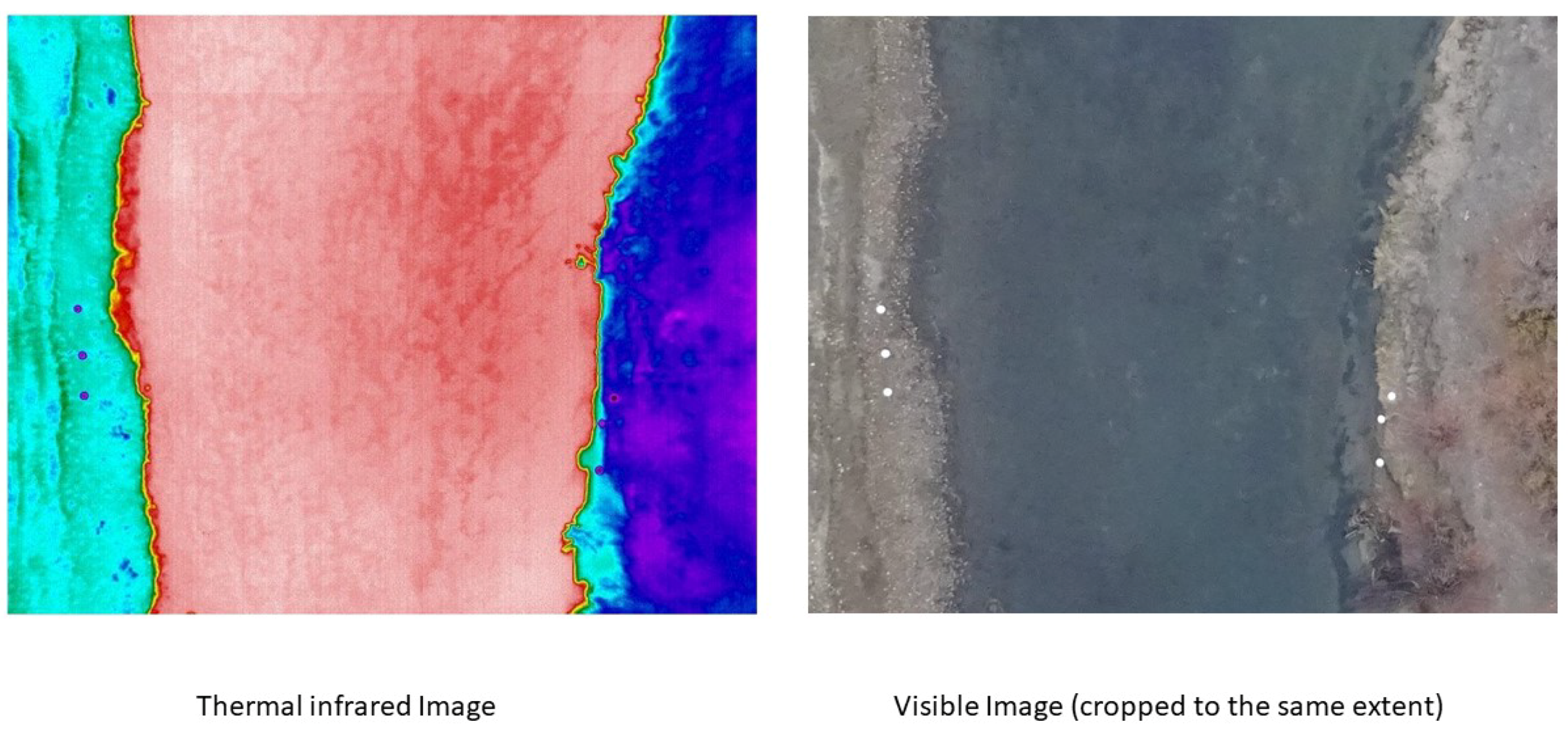 Remotesensing 11 02317 g002
